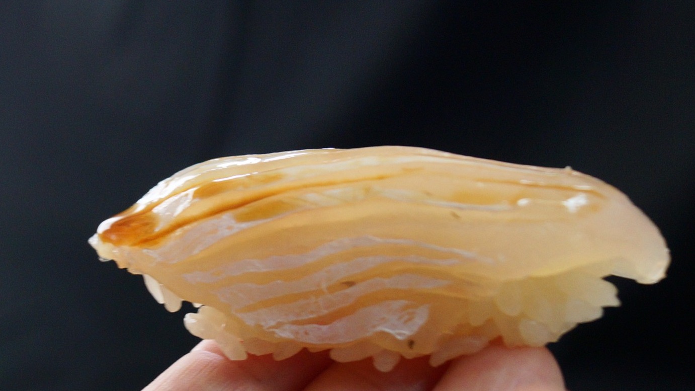 ・
・
本日3月31日(火) 立食い鮨 鮨川オープン!
明日から4月‼春本番です🌸
貝が旬を迎えますね~
本日も数種類がメニューイン!
この機会に是非、ご賞味くださいませ。
空席状況:どのお時間でもご案内可
握り手:池上でご予約ご来店お待ちしております
▽直近の予定です
3月
3月31日(火)池上17~22
4月
4月1日(水)平井17~22
4月2日(木)早川17~22
4月3日(金)中山17~22
4月4日(土)高木12~15
4月4日(土)中山17~22
4月5日(日)前田12~15
4月5日(日)中山 17~19予約可 20時~貸切
4月6日(月)平井17~22
4月7日(火)平井17~22
4月8日(水)池上17~22
4月9日(木)中山17~22
4月10日(金)中山17~22
4月11日(土)中山12~15
4月11日(土)中山 17~19予約可 20時~貸切
4月12日(日)前田12~15
4月12日(日)中山17~22
4月13日(月)中山17~22
4月14日(火)平井17~22
4月15日(水)平井17~22
4月16日(木)中山17~22
4月17日(金)中山17~22
4月18日(土)高木12~15
4月18日(土)中山 17~19残3席・20~22満席 終日イベント営業
4月19日(日)前田12~15
4月19日(日)中山17~22
4月20日(月)平井17~22
4月21日(火)平井17~22
4月22日(水)平井17~22
4月23日(木)早川17~22
4月24日(金)中山17~22
4月25日(土)池上12~15
4月25日(土)早川 17~19貸切 20~予約可
4月26日(日)前田12~15
4月26日(日)中山17~22
4月27日(月)中山17~22
4月28日(火)平井17~22
4月29日(水)前田12~15
4月29日(水)平井17~22
4月30日(木)早川17~22
6月21日(日)早川 17~19予約可 20時~貸切
10月17日(土)早川 17~19貸切 20~予約可
◆ご予約について
・各種SNSよりご予約ください。※電話は繋がりにくいです。
・開店時間は17~22時です。基本2時間制となります。
・空席がある場合は即時入店可能です。
・土日祝昼営業は12時~15時(L.O14時30分)
・テイクアウト承ります。内容は店内のものからお選びください。事前予約頂けますと確実にご用意できます。
・貸切は10~15名で承ります。1人13000円、握り20貫+飲み放題コースです。昼営業でもご相談ください。
営業時間|17時~22時(L.O 21時30分)
#笹塚 #立ち食い鮨 #鮨川 #sushi #tokyo