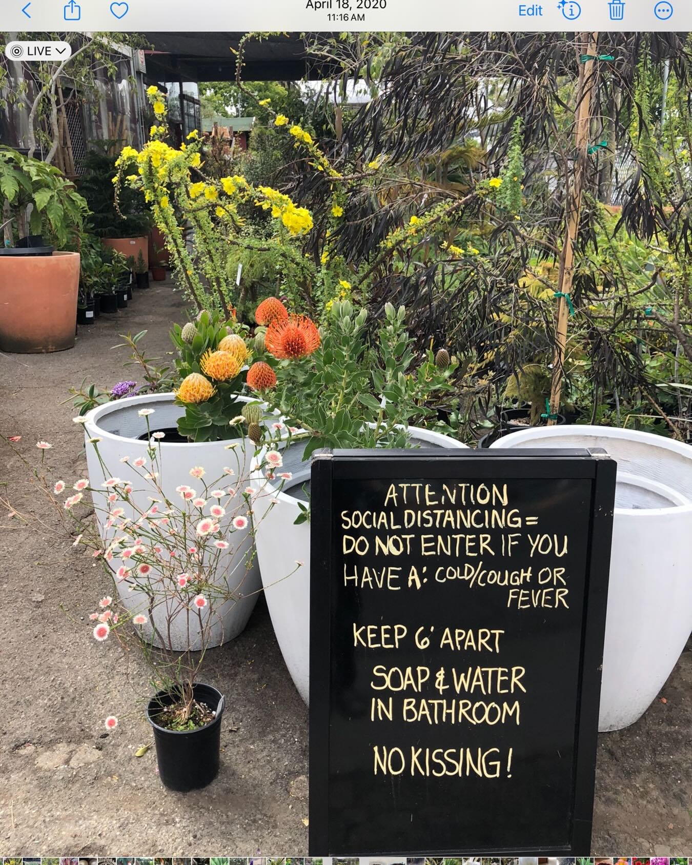 Another trip down memory lane that is almost forgotten at least for me. Thankfully I never got it. And I never got any of the shots. And I haven’t had the flu or a cold in decades. I guess I’m one of the lucky ones.