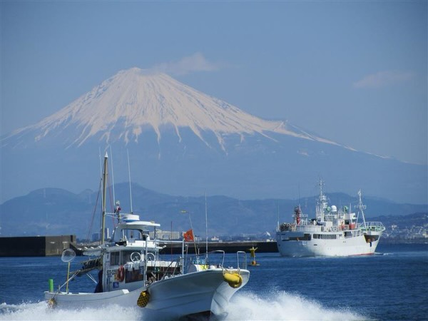 A Rare Moment in Yaizu — Spring 2027 🌸
Beyond the usual paths of Japan lies Yaizu, one of the country’s most revered fishing ports — a place few travellers ever experience in depth.
On this exclusive Ponant × Hankyu Cruise Charter aboard Le Jacques Cartier, guests are invited into Japan’s inner culinary world, normally closed to the public.
✨ Exclusive auction viewing at Japan’s top fishing port
🐟 Witness the dynamic energy of a live tuna auction — a privileged, behind-the-scenes experience
🍣 “Bara-sushi” performance by Naoki Maeda, 5th-generation owner of Sasue Maeda Fish Shop
🍵 Discover Yaizu tea, a quiet expression of the region’s coastal terroir
This is more than a destination — it is access to a living tradition, curated with extraordinary care and authenticity.
With only 184 guests onboard, every moment remains intimate, immersive, and quietly exceptional.
Set against the elegance of Le Jacques Cartier by PONANT, this journey blends rare cultural privilege with refined luxury at sea.
📍 Spring 2027 departures
📆 13 March | 25 March | 6 April
🛳️ 5–13 day voyages
📩 Private inquiries via DM
#Ponant #Hankyu #Yaizu #LuxuryCruise #MichiAndCo