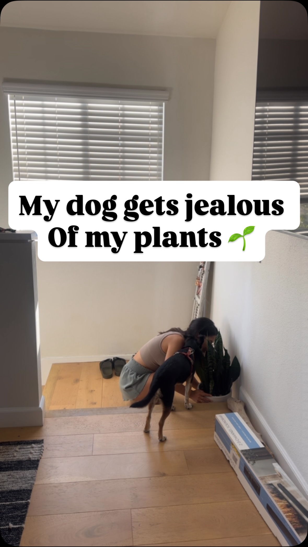 Sooo needy 😆🌱
#Plants #dogmom #plantmom #funnyvideos