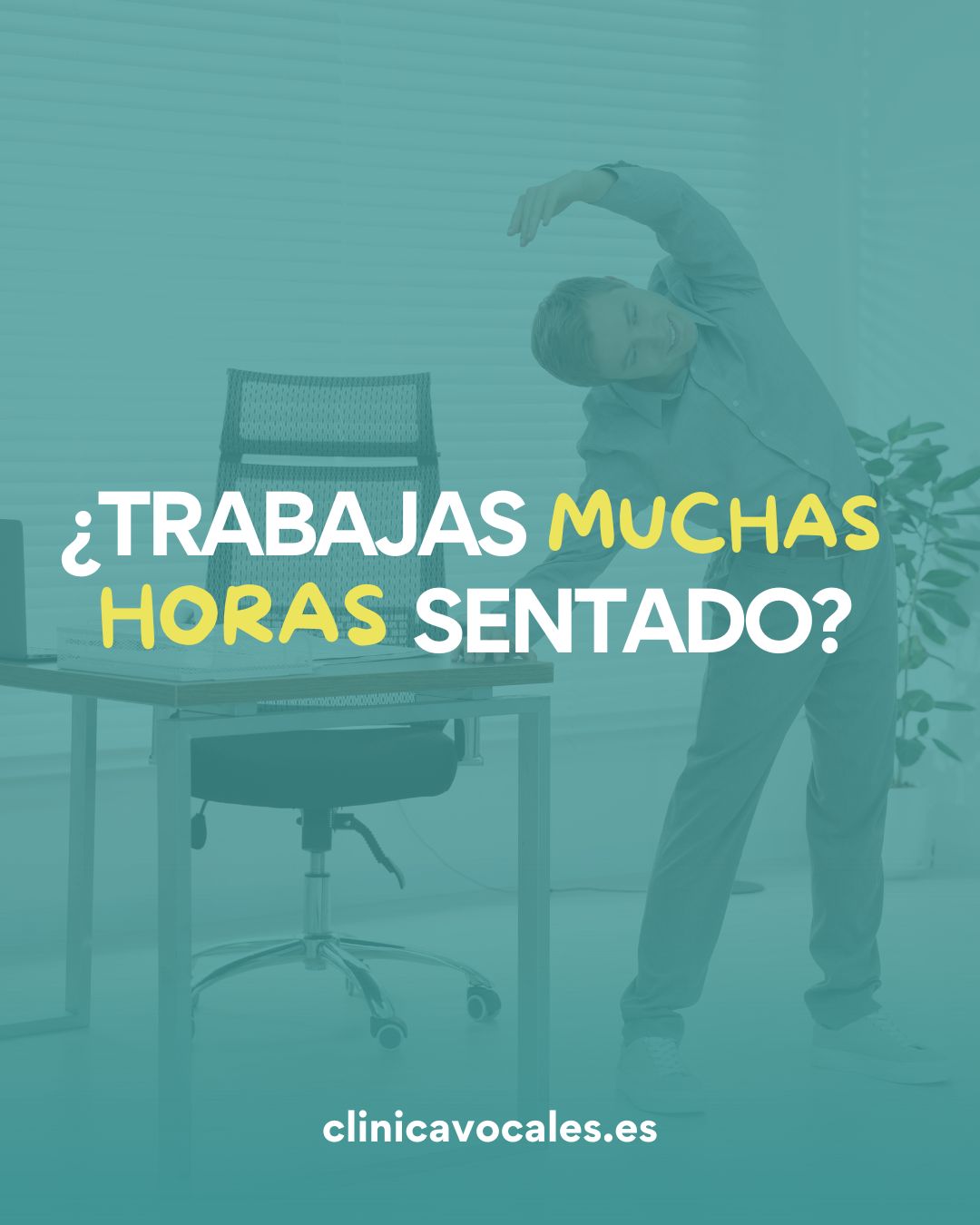 Mantener una buena postura al trabajar sentado es fundamental para prevenir problemas musculares, contracturas y dolor de espalda.
Muchas personas pasan gran parte del día frente al ordenador, lo que puede provocar molestias si no se mantiene una ergonomía adecuada en el puesto de trabajo.
Cuidar tu postura no solo ayuda a prevenir lesiones, también mejora la salud de la espalda y el bienestar general.
Si sufres molestias frecuentes, el tratamiento con fisioterapia puede ayudarte a aliviar el dolor y mejorar tu calidad de vida.
Reserva tu cita
📞 611 501 402
📩 clinicavocales@gmail.com
📍 C/ Travesía Córcoles, 3D, Mota del Cuervo.
#estimulacion #rehabilitacion #integracion