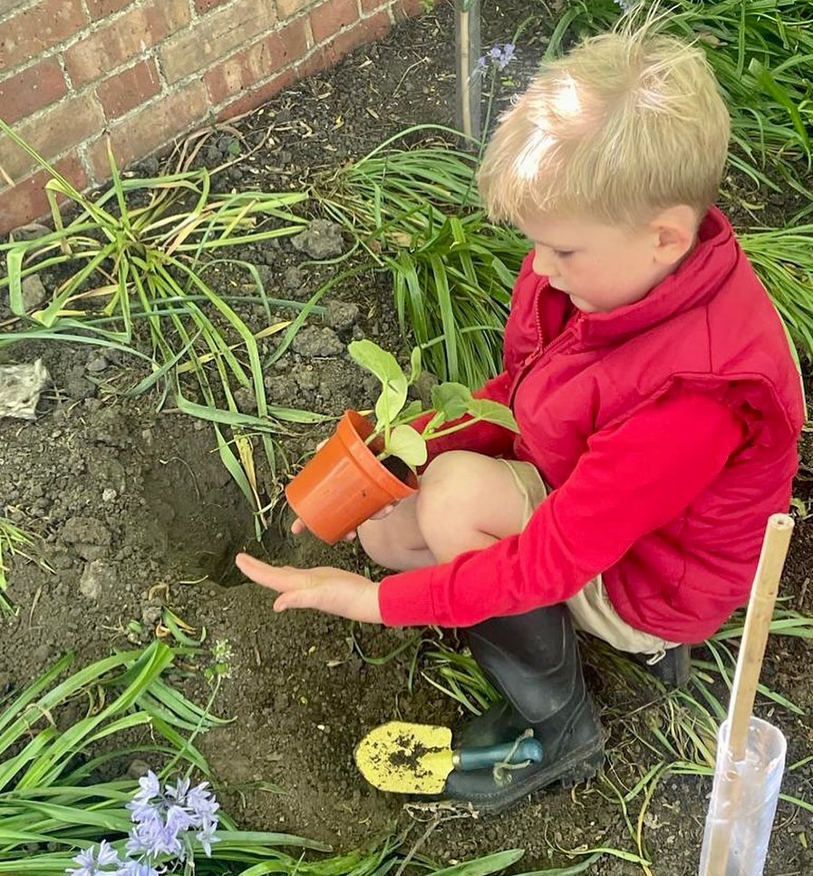 Fun gardening with Mrs Mokone… clearing beds, planting seedlings, emptying and cleaning the greenhouse….
#montessorielementary #montessorigardening #montessorikent #montessorinursery