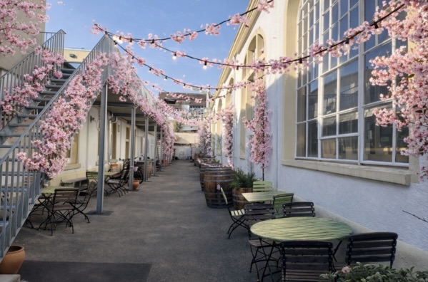 🌸 Kirschblütenfest & Saisonauftakt 🌸
Wir feiern Premiere – und eröffnen gleichzeitig unsere Veranstaltungsreihe im Jubiläumsjahr! 🥂✨
📅 Ostersamstag, 04.04.2026
🕑 14–19 Uhr
📍 Weingut Andreas Dilger, Urachstraße 3 Freiburg
Freut euch auf echtes Hanami-Feeling 🌸 – wir feiern die Kirschblüte unserer Wiese am Venusberg, sobald die Bäume in voller Pracht stehen.
🍷 Kulinarisch verwöhnen euch die Austernbrüder mit:
🦪 Austern & Lachsspezialitäten
🍃 Weinblatt-Sushi (mit unseren Freiburger Weinblättern!)
🥗 auch feine vegetarische Optionen
🎨 Besonderes Highlight:
Ausstellungseröffnung von Manfred Loritz – mit beeindruckenden Tuschezeichnungen, die ihr vielleicht schon von unseren Weinetiketten kennt.
✨ Außerdem:
– Eröffnung unseres neuen Verkostungsraums
– Start in die Hofsaison mit gemütlicher Bestuhlung
Kommt vorbei, genießt den Frühling mit uns und stoßt auf die neue Saison an! 🌷🍾
#kirschblütenfest #hanami #freiburg #weingut #frühlingserwachen