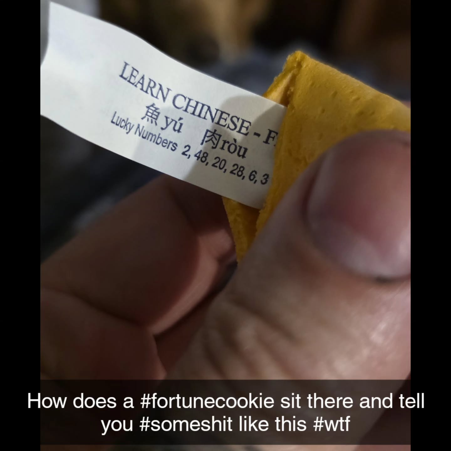 How does a #fortunecookie sit there and tell you #someshit like this #wtf