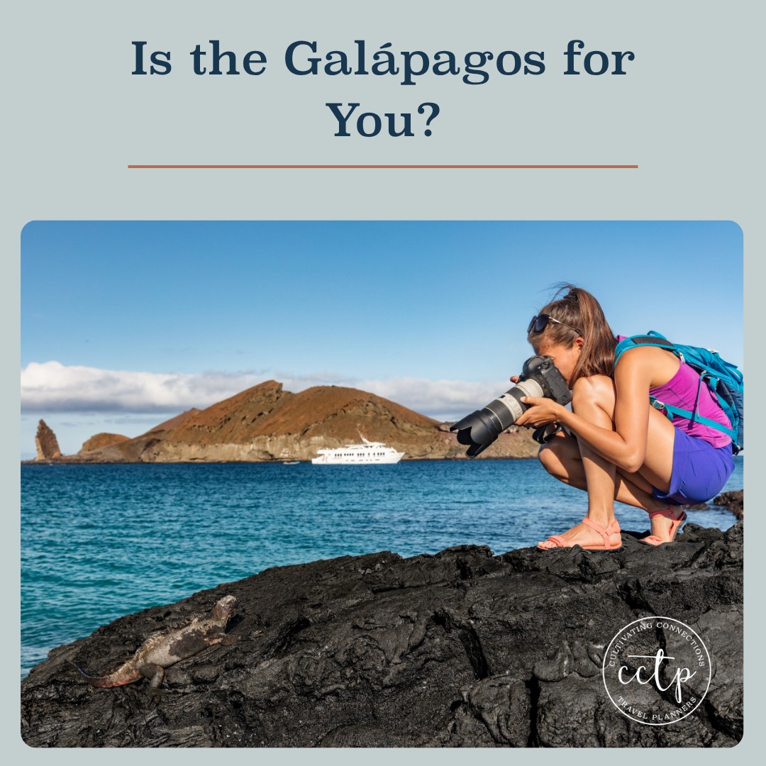 The Galápagos are perfect for travelers who love wildlife, photography, guided exploration, and active days. Think hiking, snorkeling, Zodiac rides, and time with naturalists who bring the islands to life.