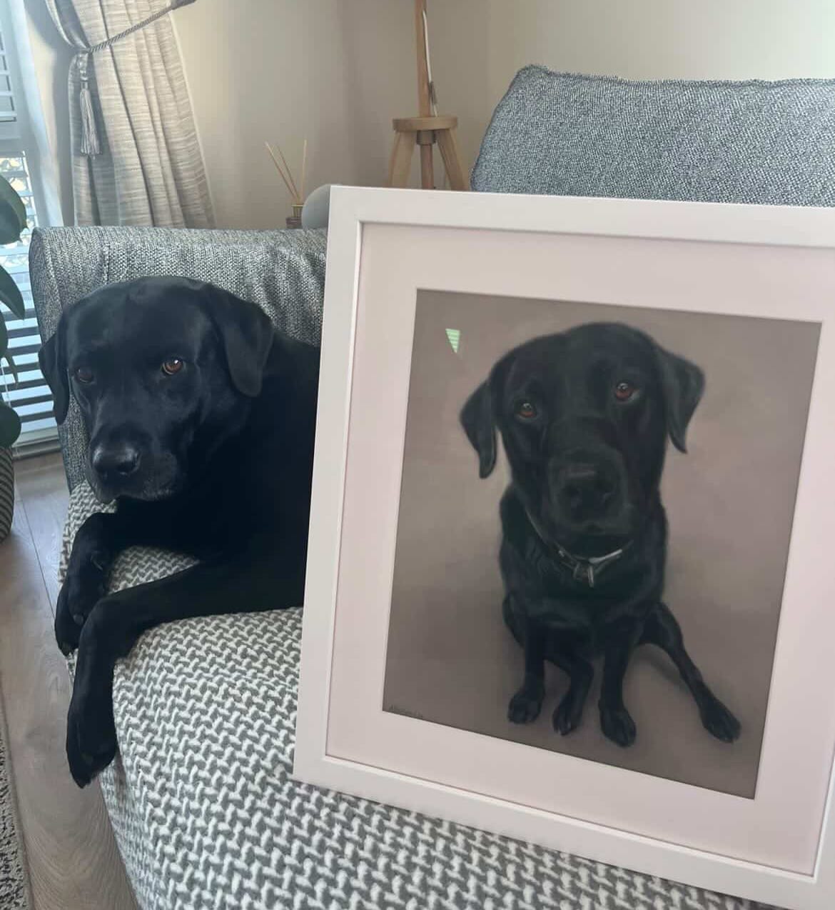 Here is PJ ✨
The owners of PJ and Bruno (last image) are sisters. The ultimate compliment when one sister sees and wants what the other has 😆
Love seeing floofs by their paintings 📸
#petportrait #petpainting #suchagoodboy