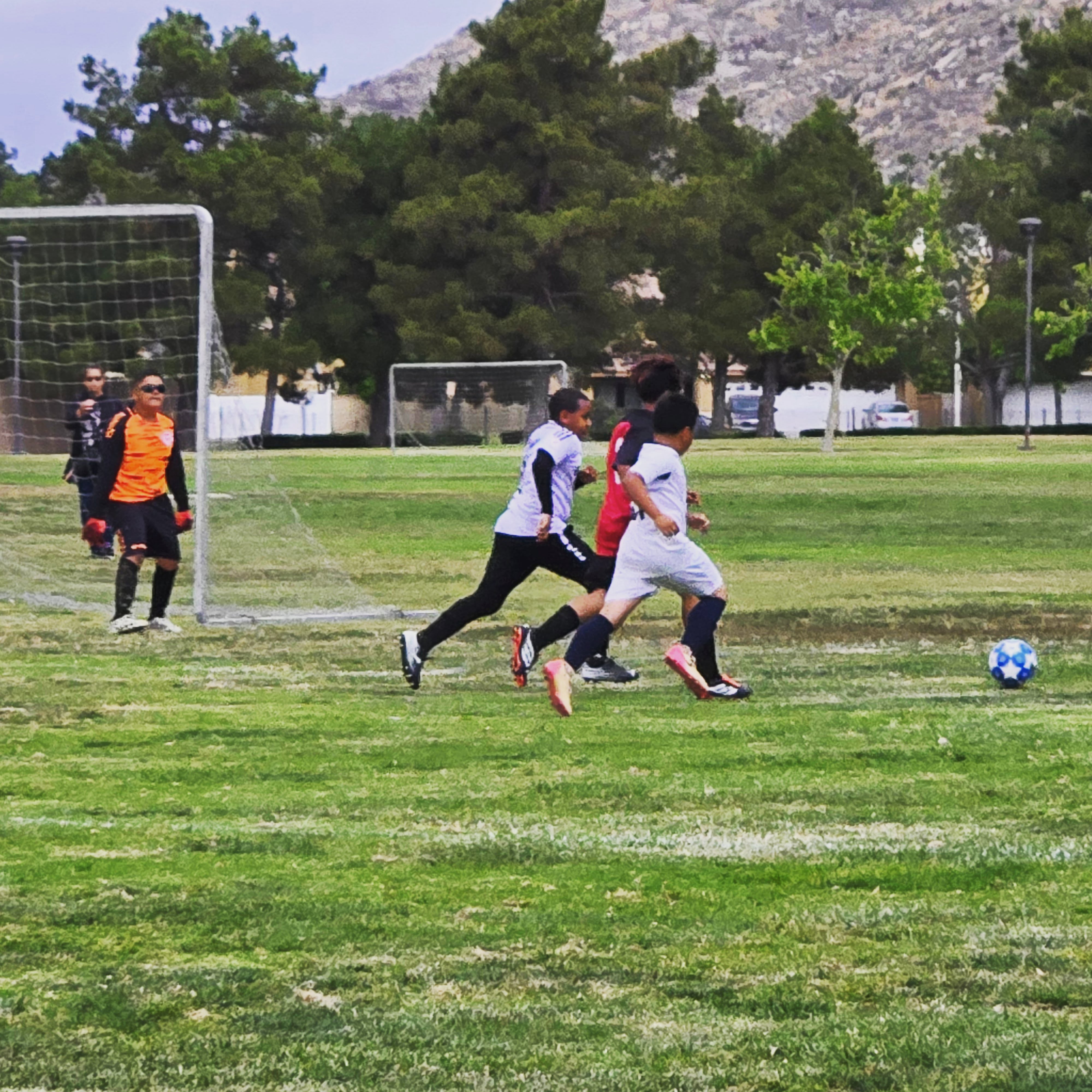 Chasing more than the ball… they’re chasing growth. ⚽🔥
These boys are putting in the work, learning the game, and leveling up every week.
Real progress. Real development.
#GladiatorsFC #BanningCA