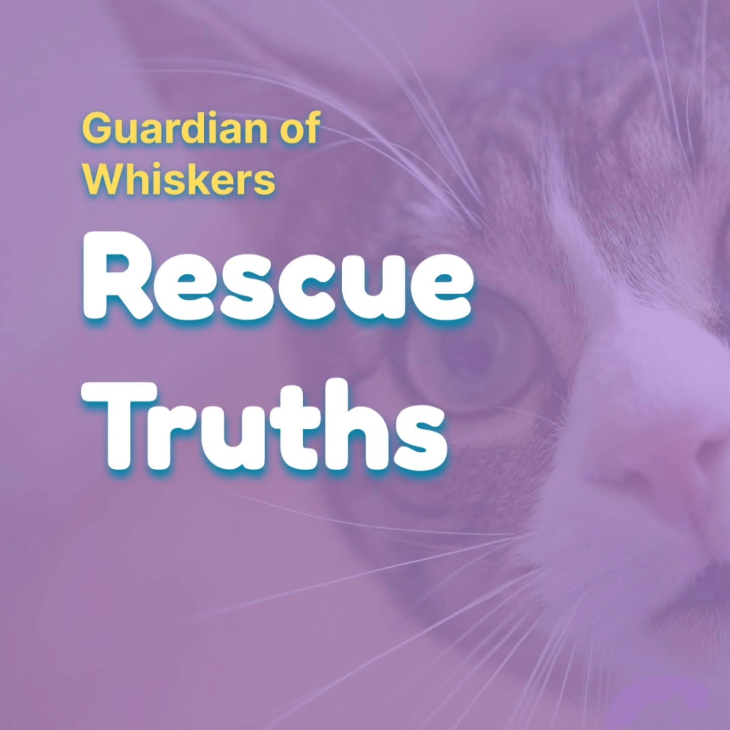 Guardians of the Whiskers 💜 Rescue Truths
.
.
.
#rescuecats #CatRescue #catrescue #catstory