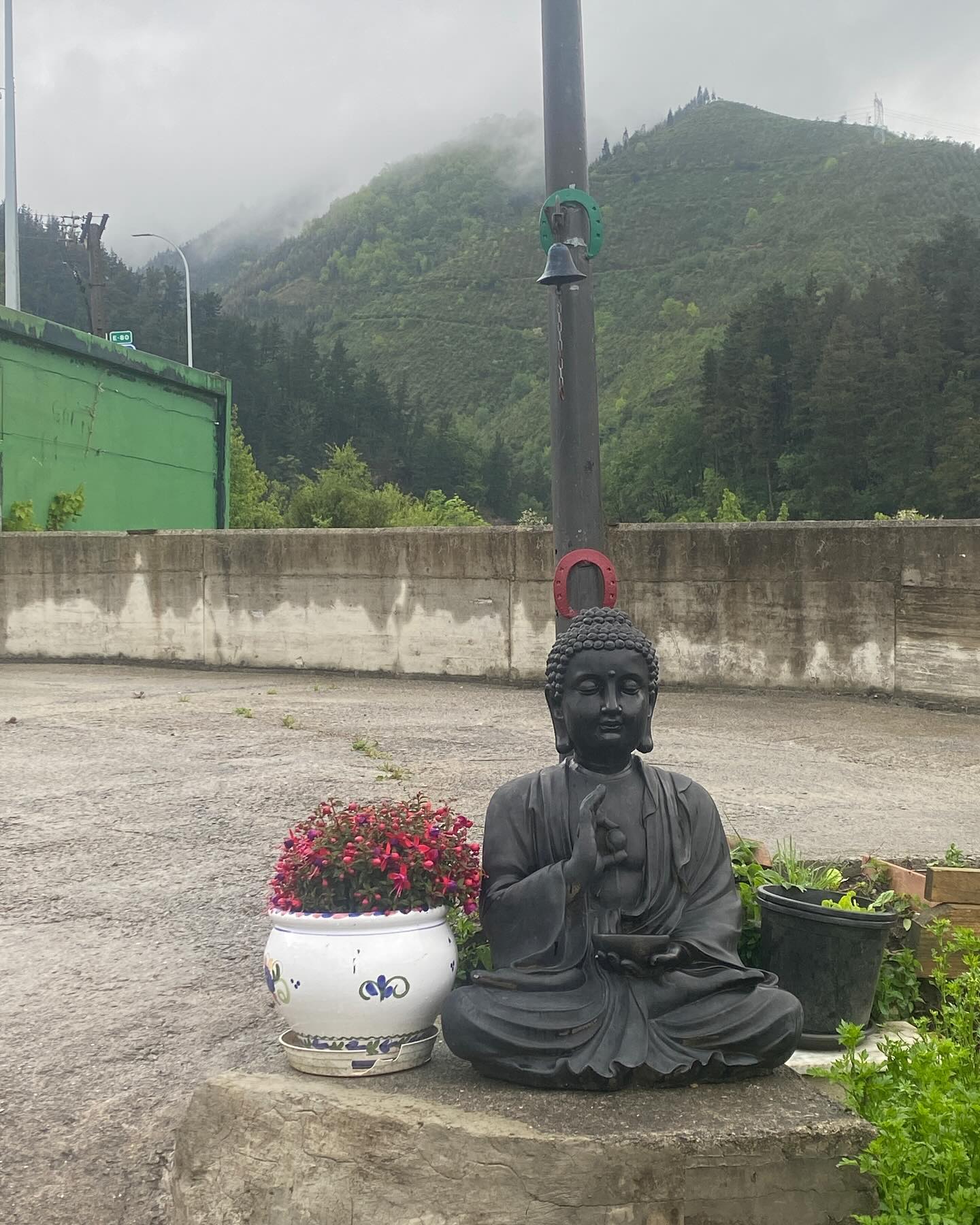 Day 4 Deba to Bolibar 32 km and a whole lot of mud + rain. 🌧️ “The miracle is not to walk on water. The miracle is to walk on the green earth in the present moment, to appreciate the peace and beauty that are available now.”
Thich Nhat Hanh