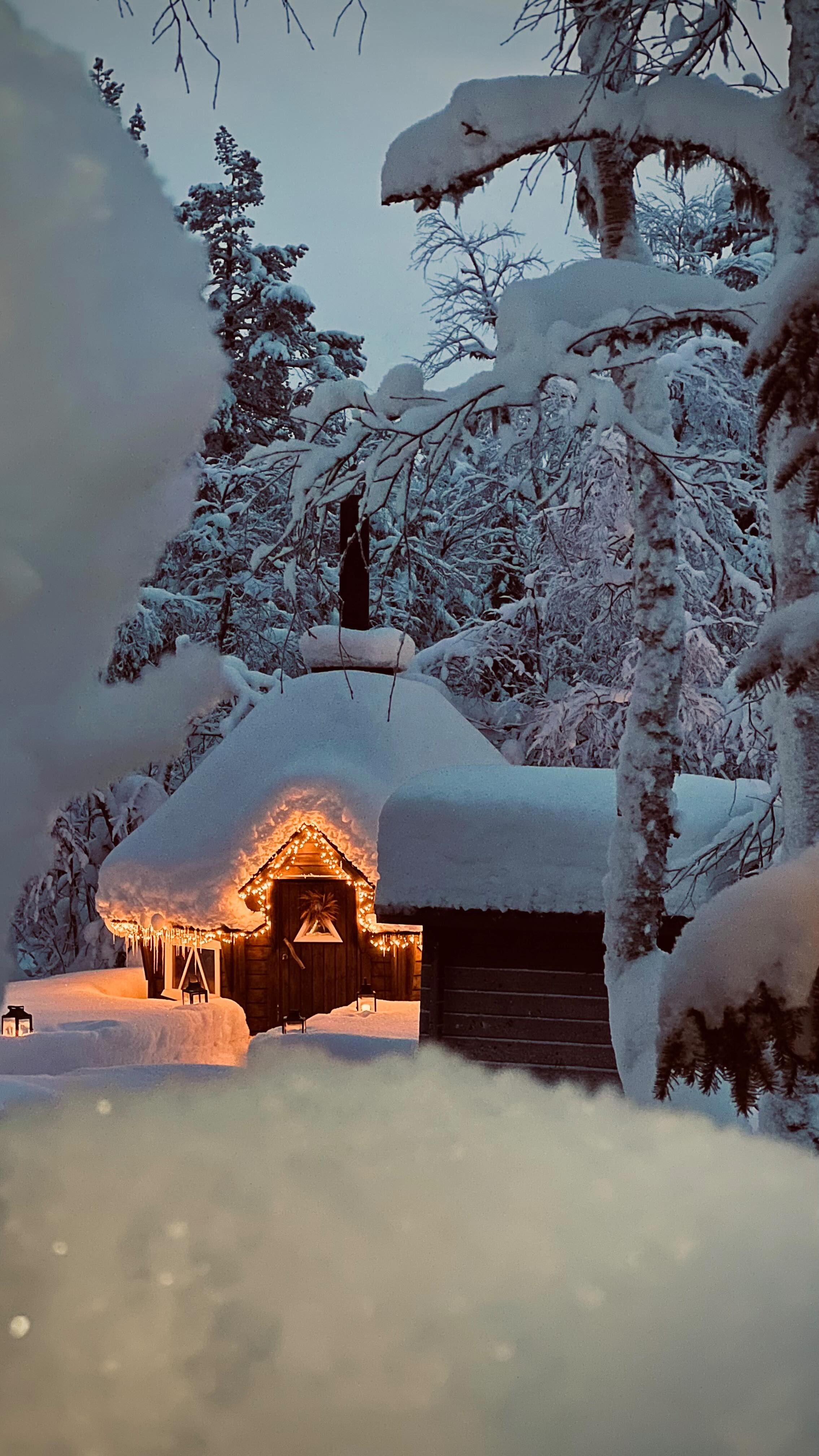 Snow update - it’s snowing!!!!! So happy❄️❄️❄️
📍Levi Foxfires
#visitlapland #lapland #finnishlapland