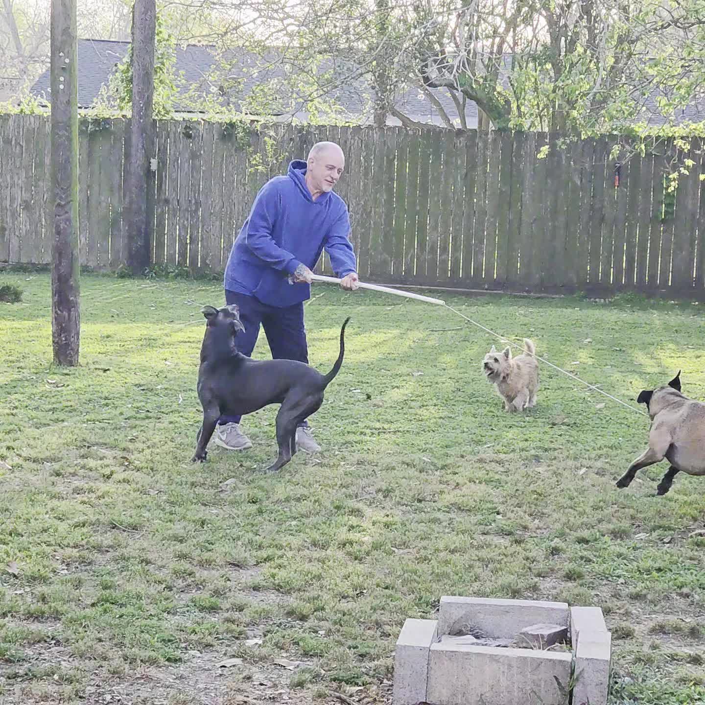 Paddy loves to play with our high energy dogs with the flirt pole.
They learn to catch the toy and to let go so the game can keep going.
Citizen Canines 832-341-4578 call now!