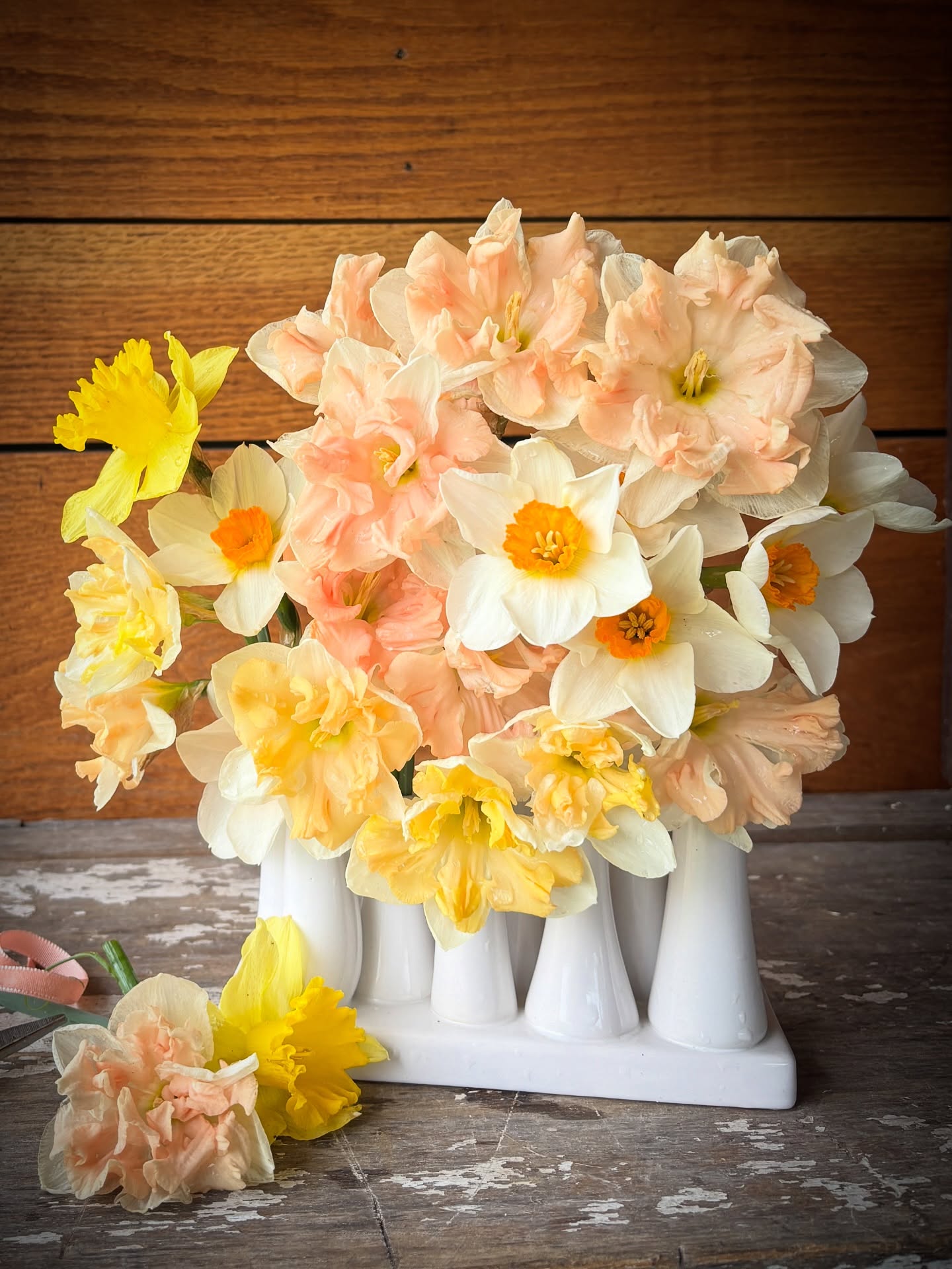 A favorite vase for Spring!
There's a pure magic in collecting all those early stems and gathering them with ease for absolute seasonal enjoyment.
We have 3 available color options on The Flower Truck! $39 each
And those Daffodils-no words for that level of beauty.
Flower Truck is open today, 8:00-6:00
Text me for updates/information: 443-813-0229
Fun fact: Daffodils do not like to share a vase with other flowers- they muck up the water and speed up wilting. Fortunately, the look amazing gathered en masse.