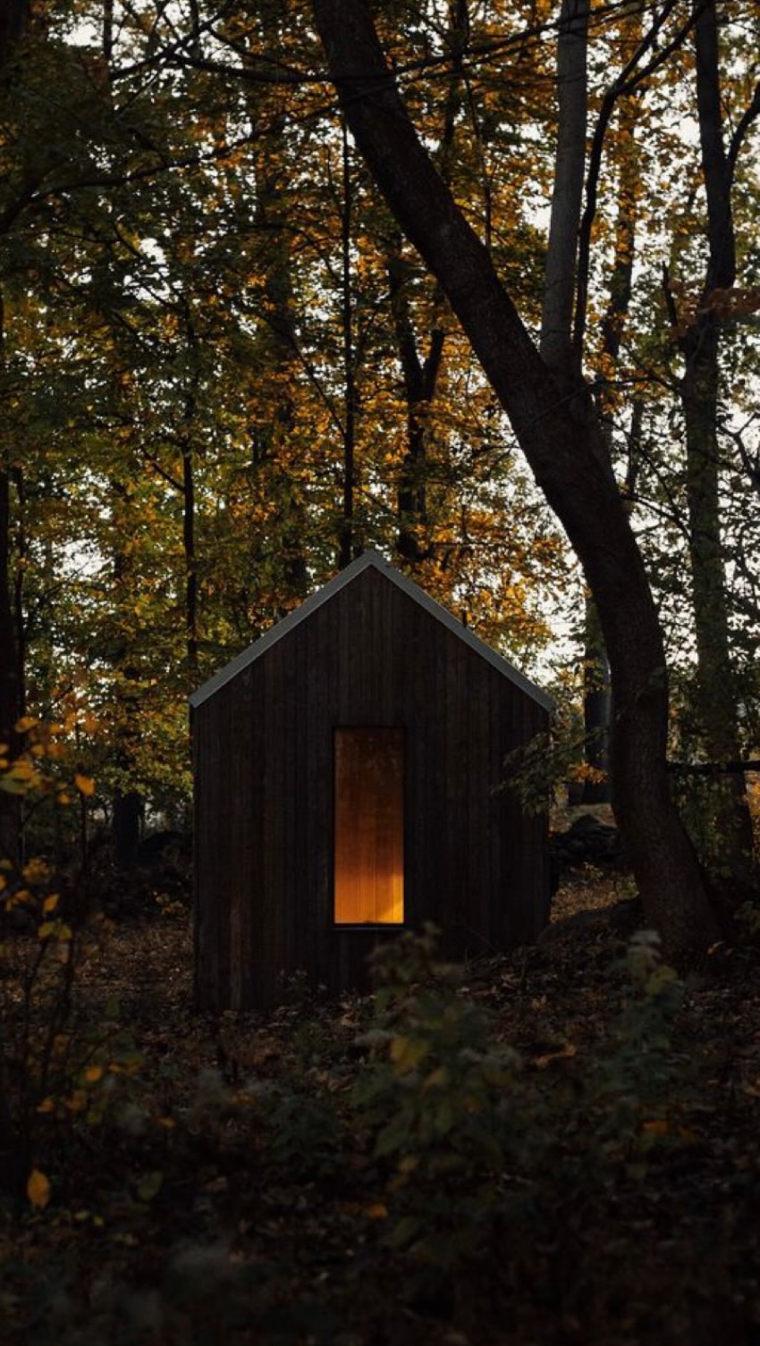 This January I made one lonely resolution… get out of my head and into my body.
It sounded easy enough - maybe it’d help with my headaches, neck tension and general rumination on everything.
What I didn’t expect is how foreign and uncomfortable it would feel. Instead of psychoanalyzing big feelings, I get to feel them. Ugh.
And let me tell you, between launching a new business, building a new home, preparing for the Enterprize challenge, accepting Saige is graduating, and perimenopause… there’s no shortage of big emotions.
So while none of this is groundbreaking, here’s what I’m currently doing to move energy and I’m definitely open to your additions:
1. Weekly breathwork with @the.marigold.way
2. Jumping to an entire song, making sure my heels really hit the ground 🎵
3. Fire gazing (a candle will do 🕯️)
4. Laying on a bed of spikes @shaktimats
5. Walk/run… I have a rule where I can only listen to my favourite podcast if I’m moving 🏃♂️
6. Stretching, but not yoga… just whatever feels good
7. Hug Trevor (or a tree) 🌲
8. Lay in a sunbeam ☀️
9. Dance around my kitchen🕺🏻
10. Bath or shower 🛁
11. Do something creative 👩🍳
12. Stare at this video of jellyfish 🪼 @vanaqua
Anywho… that’s what I’ve been up to - what works for you when you get stuck in your head (or your feelings)?