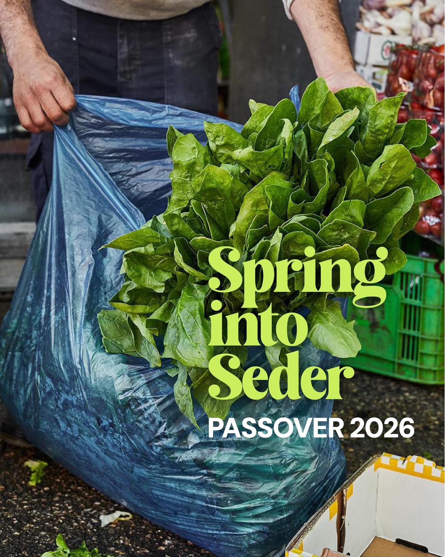 SPRING INTO SEDER
Passover, also called Chag Ha’Aviv (the Holiday of Spring) is very present in the Carmel Market, where heaps of green garlic, piles of fava beans, bunches of fragrant herbs, and mountains of purple-bulbed spring onions beg to be taken home and used in the kitchen. Typically, these edible signs of Spring put me in a celebratory mood.
But this is no regular Passover, and I must confess: I’ve been working overtime to maintain my usual holiday spirit. Well, I got there! Thanks in part to my friend, Haggadah author and educator Rabbi @mishael.zion .We recently met on a sirenless and sunny morning for one of our regular Hevrutas (learning sessions), where we study the symbols and ideas behind the Jewish holidays.
And while food is my primary vehicle for channeling holiday intentions, Mish, as his friends call him, shared some resonant ideas about Spring that uplifted me–and I hope you as well–as we usher in this festive holiday during incredibly complex times. CHAG SAMEACH! 📷 @danpdanp