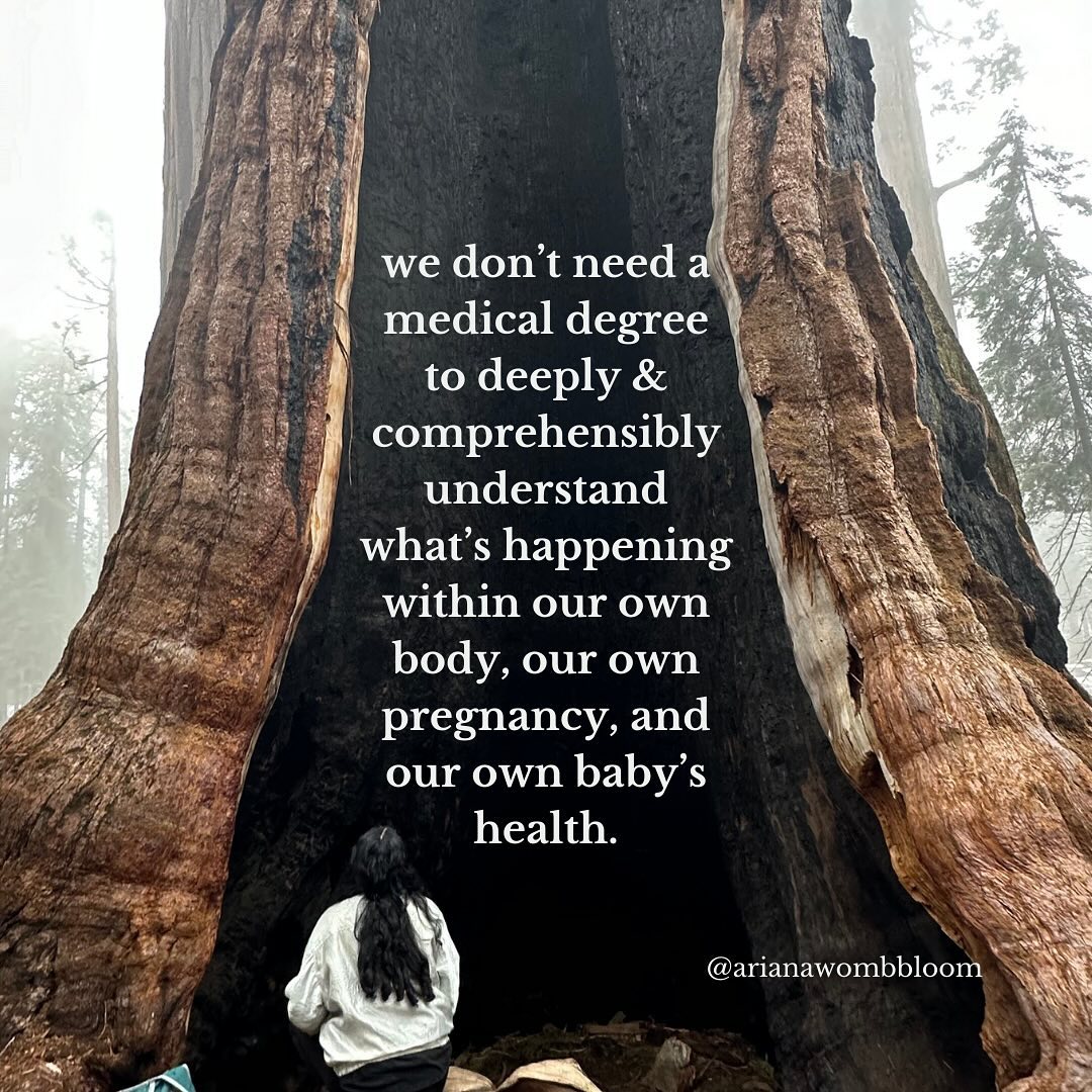 don’t ever let anyone try to convince you that they know more about you & your body more than you do.
or that you can’t get to know yourself & your body so deeply and so intimately that you become your own healer. your own savior.
my life’s work is for us to remember how incredibly intuitive, wise, & powerful we truly are when we stop outsourcing our power away. we are the authority. we get to choose who we let into our health care journey & what kind of care we accept. thissssss to me is true women’s liberation <3
#bodyautonomy #homebirth #midwife #medicalindustrialcomplex #wombwisdom