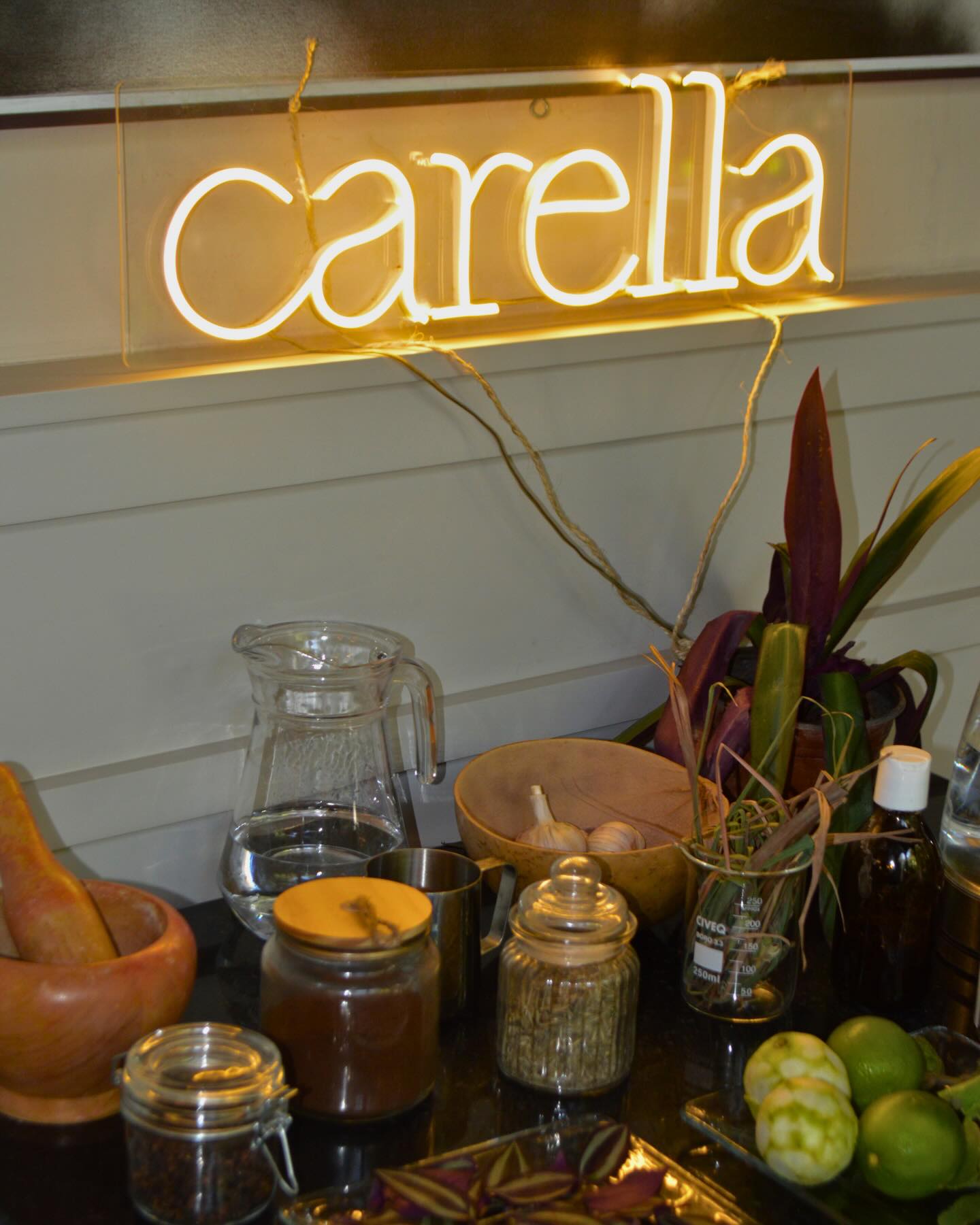 Recap de la segunda edición y próximamente
tercera edición de Herbolaria Tradicional Mexicana
Mayo
Más detalles pronto✨🪴