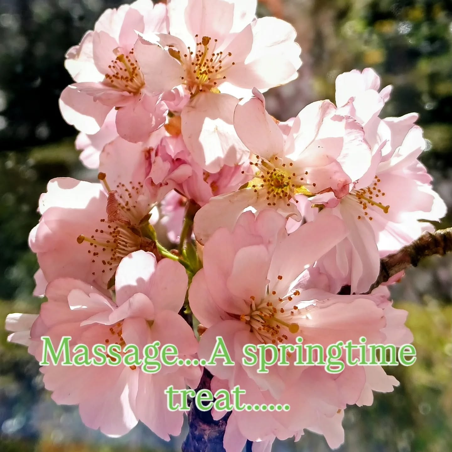 Treat yourself to a soothing, restorative spring 🌼🌱 time massage.
#massagetherapist #massagehebdenbridge
#massageforwomen #hebdenbridge #hellohebdenbridge