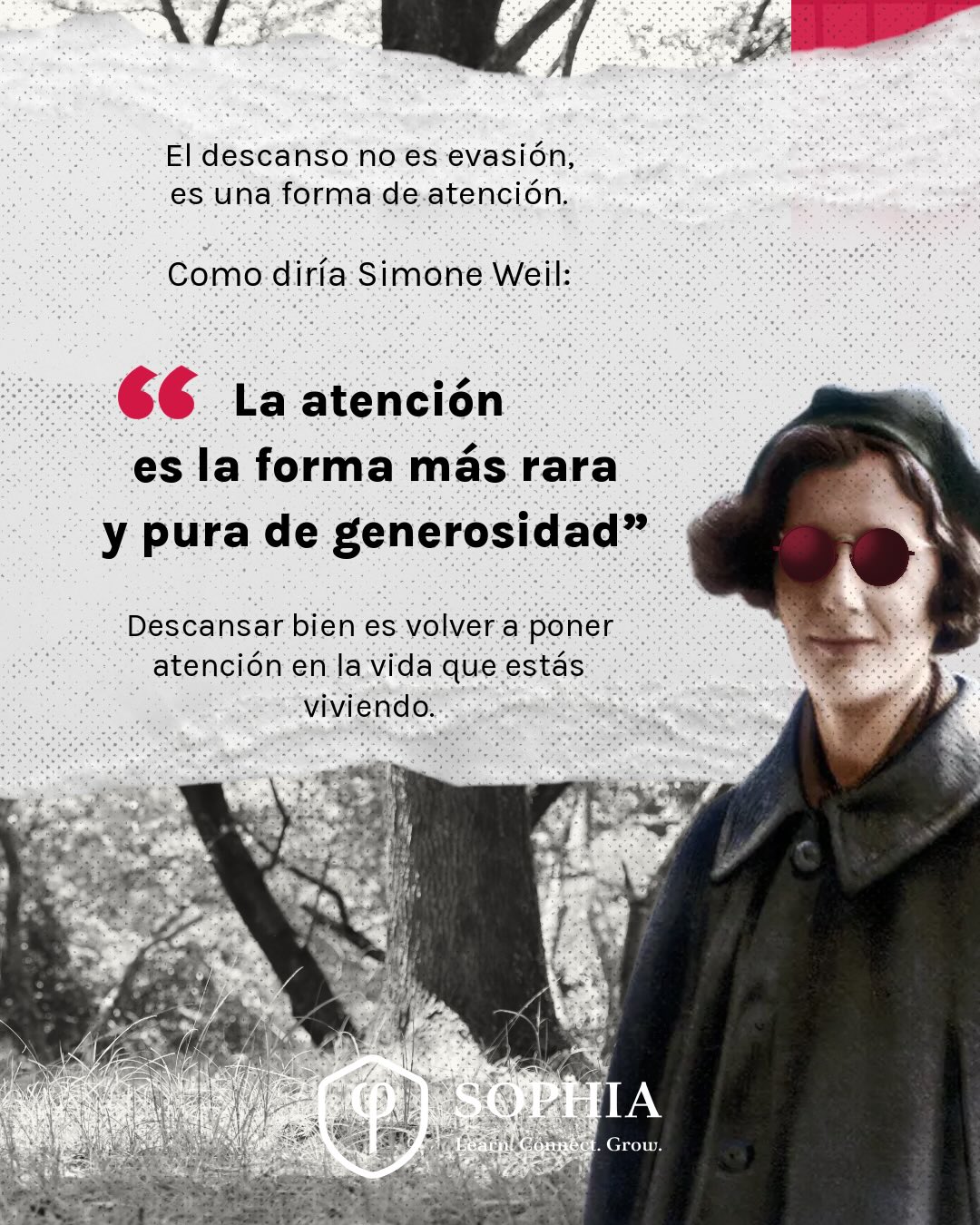 Esta semana: pausa, presencia y sentido ✨Para estar y desconectar para conectar 🤍
Porque el descanso no es evasión… es una forma de volver a la vida con atención.
#SemanaSanta #vacaciones #descanso #bienestar #PresenciaConsciente
