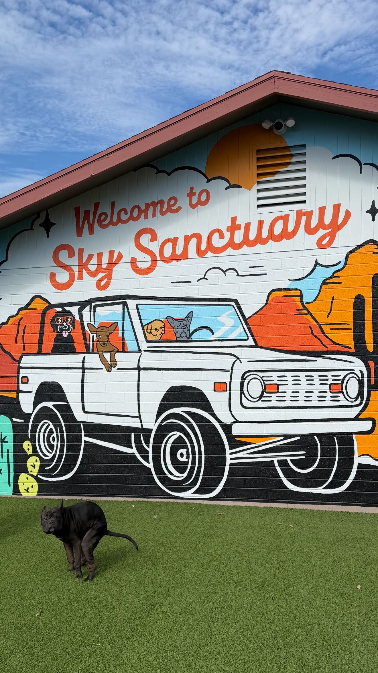 What we’ve built here is so special + now, at risk. And if we lose it, we won’t be able to show up for animals the way we do now. So we’re fighting for it. Win a custom 2025 Ford Bronco. $25 to stand with us in saving @skysanctuaryrescue.
.
.
.
.
ENTER GIVEAWAY 👇 skysanctuaryrescue.org/donate/bronco-giveaway
TO DONATE (without entry)
Website: Skysanctuaryrescue.org/donate
Venmo: SkySanctuary (no symbols)
Paypal: info@skysanctuaryrescue.org
Zelle: info@skysanctuaryrescue.org
CashApp: $Skysanctuaryrescue