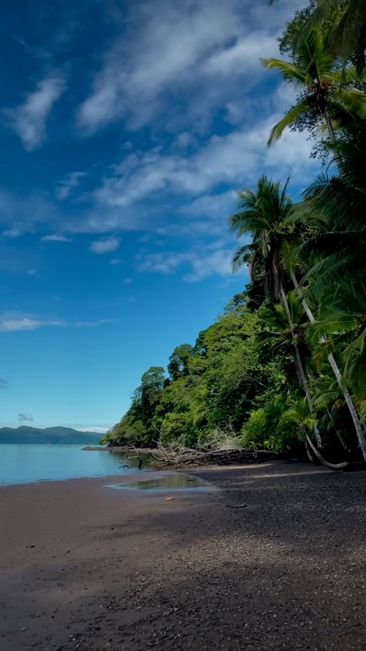 Heart-opening.
Energy moving.
Deeply healing.
Jamie’s experience is one of many — each journey is unique, yet something profound is often felt.
A space to reconnect, release, and return to yourself.
If you’re feeling the call, you can get in touch or book a free discovery call through the link in bio.
#retreatcenter #plantceremony #sacredplantmedicine #sacredplants