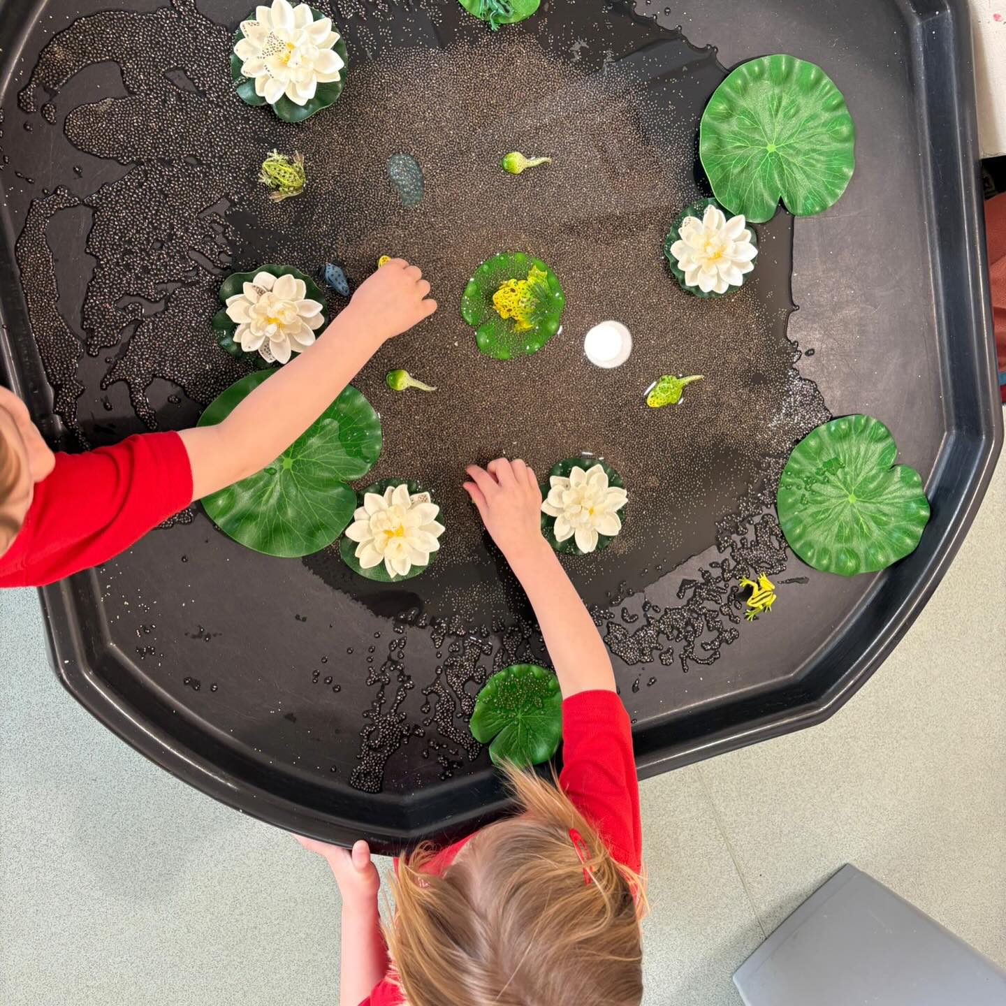 A little look at frogs…exploring the lifecycle and watching how something so small can change into something completely different.
What started as a tray of chia seeds soon became a pond full of tiny tadpoles about to embark on an exciting transformation!