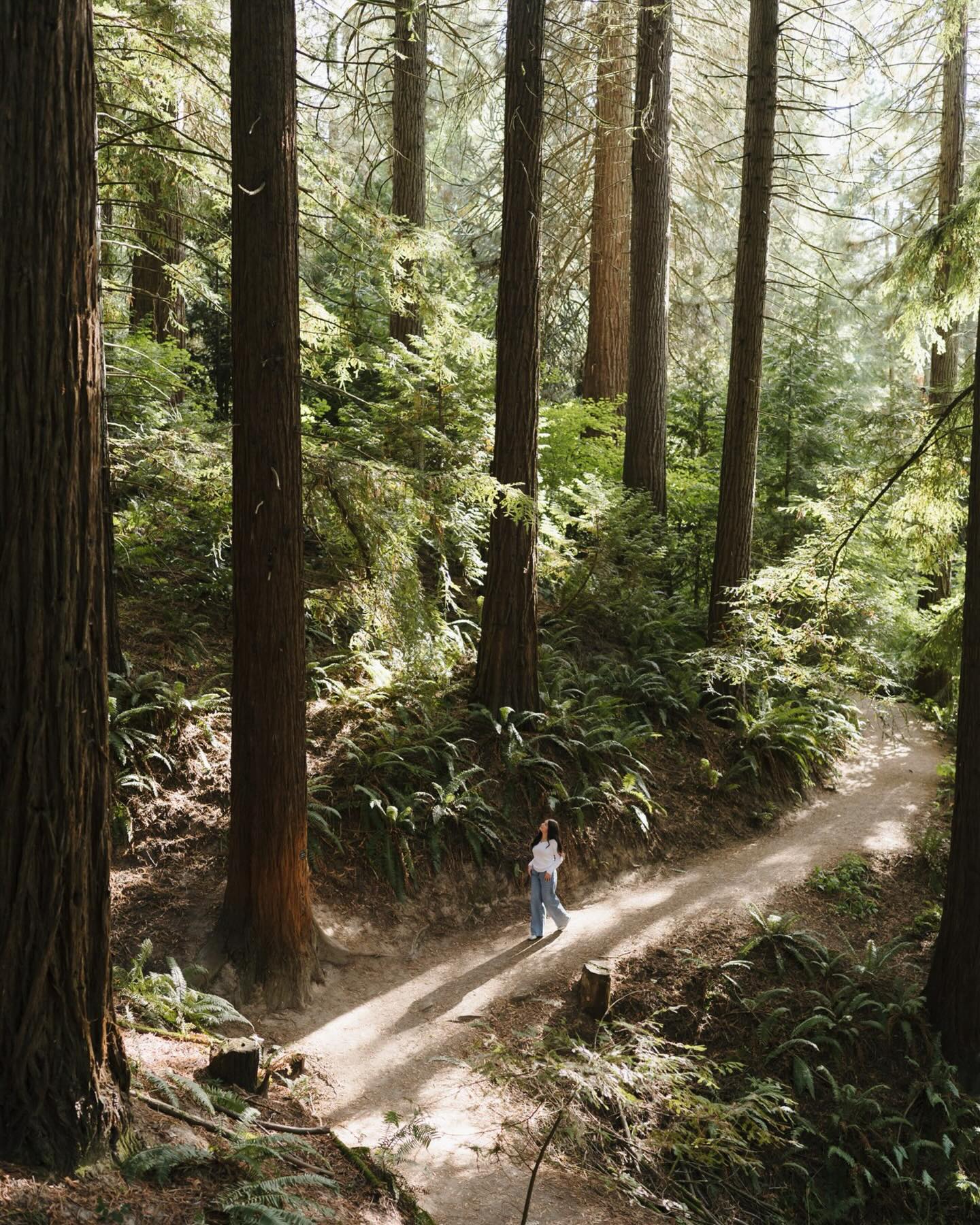 A green foresty wonderland for Emersyn’s senior pics last summer✨