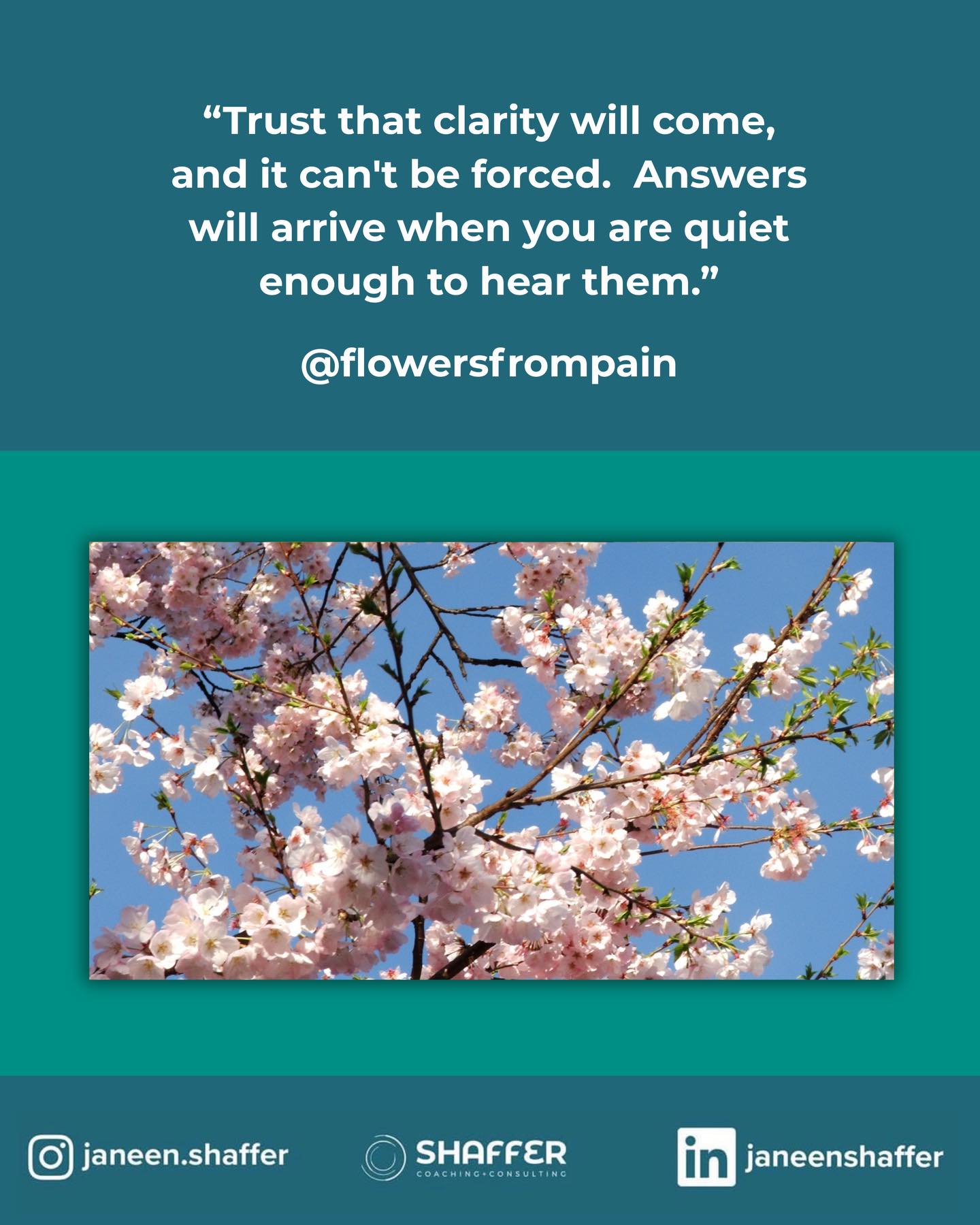 Some things can’t be forced to bloom. Answers can come slowly, like petals opening in their own time. Clarity doesn’t always come when you search for it, it usually arrives in the quiet moments you didn’t plan for. Trust that the answers know how to find you. Sometimes all you need is the quiet to notice it. #healing #blossoming #clarity #wellness #transformation