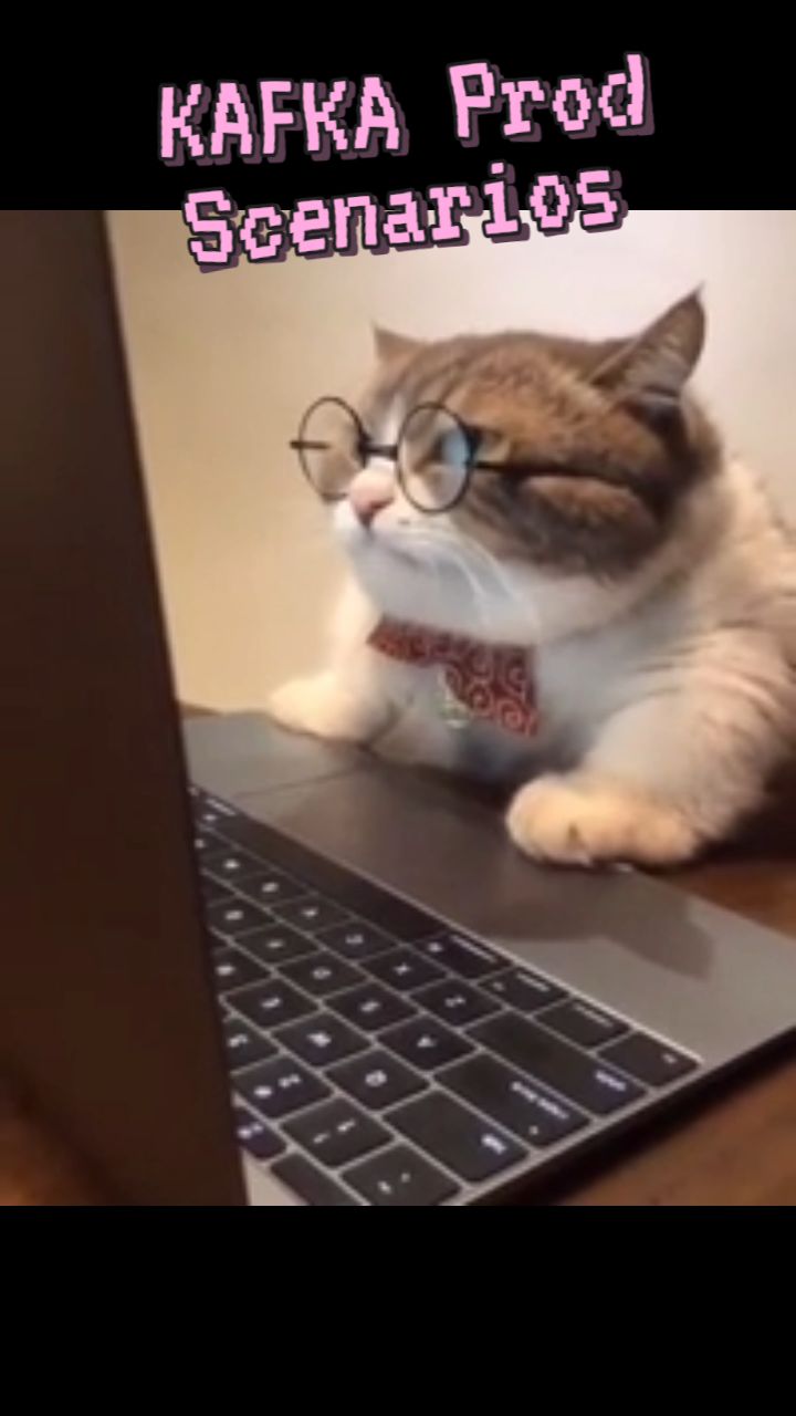 5 scene to cover Kafka Producer Consumer scenarios
Baseline — balanced producer + consumer, happy path flow across 3 partitions
Fast producer — 2× produce rate, lag bar grows visually in real time, slow animated arrows vs fast ones show the mismatch
Rate limiting — token bucket throttles the producer, lag drains, system stabilises
Consumer scaling — 4 consumers on 3 partitions = 1 idle, makes the partition parallelism rule visceral
Broker failure — Broker 2 blinks red and dies, ISR election arrow fires to Broker 3, consumers reconnect
How is your Kafka setup or how was the cat doing 😅
#kafka #architecture #producer #consumer