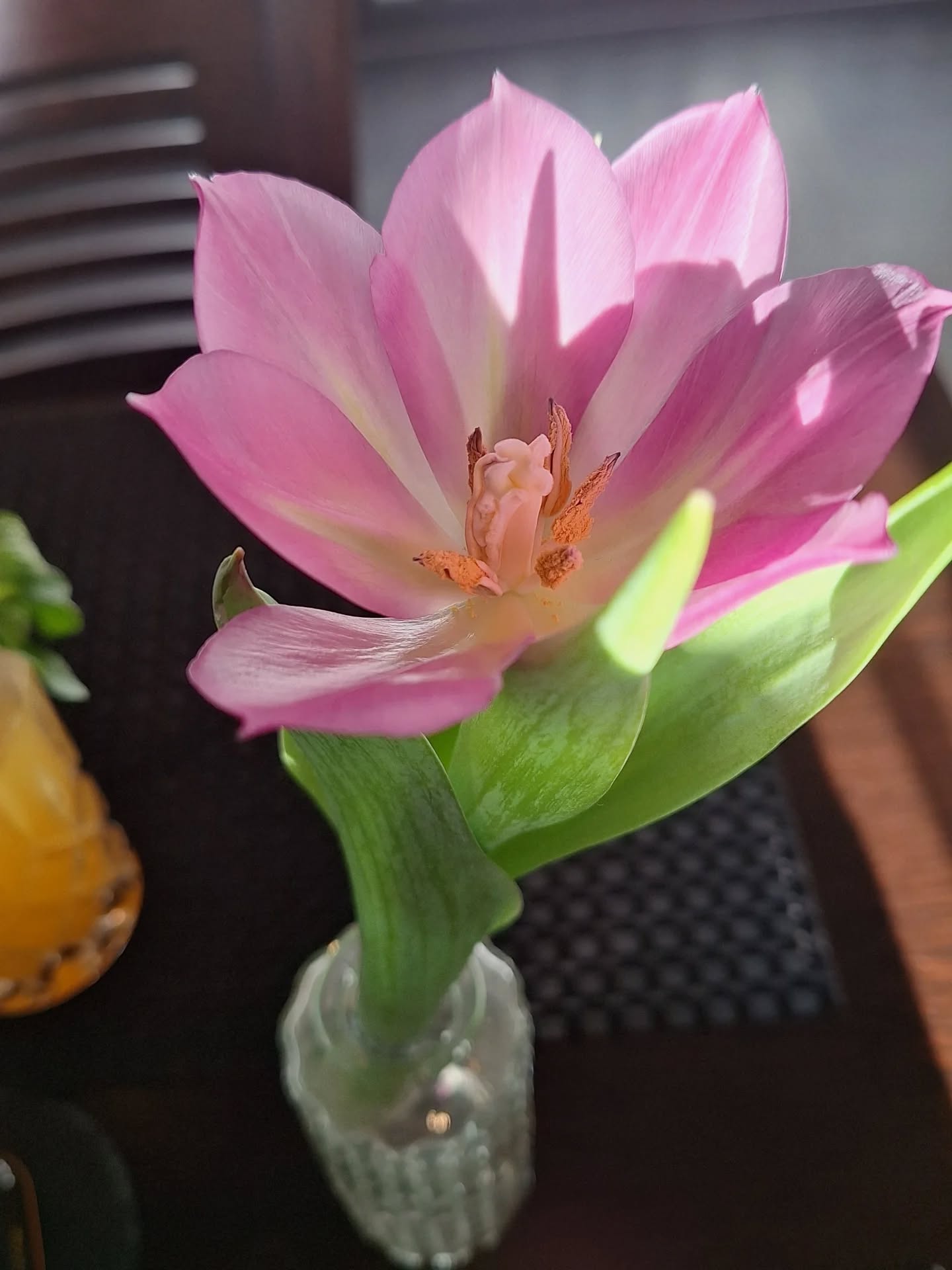 Einfach mal abschalten, gutes Essen und die Umgebung genießen 🥰
Kleiner Spaziergang mit süßen Gässchen inklusive.
Wär's nicht so kalt gewesen hätte ich noch länger ne kleine Foto-Tour gemacht. Aber ich mags lieber gemütlich 😅 #stier♉️
Motive gab's jedenfalls genug, aber so hab ich sie einfach nur im Gedächtnis gespeichert 😊📷❤️
Tee darf natürlich nicht fehlen.
Obligatorischer Jasmintee in jedem Sushirestaurant 😏🧘🏽♀️
#hashimotohealing #ernährung #gutessushi #mio #algen #natürlichesjod #jod #schilddrüse #schilddrüsenunterfunktion #heilungdurchnahrung #relax #recharge #refill #loveyourbody
Ernährungsberaterin bei Autoimmunerkrankungen und für ein starkes Immunsystem 🫶