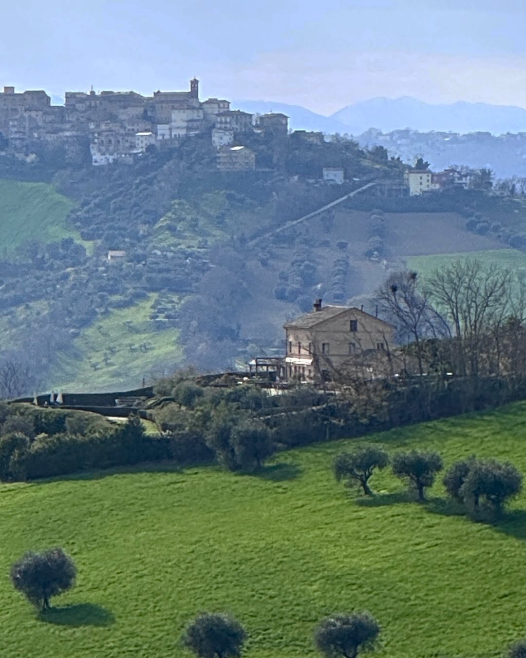 veni, vidi, vici, ruffino