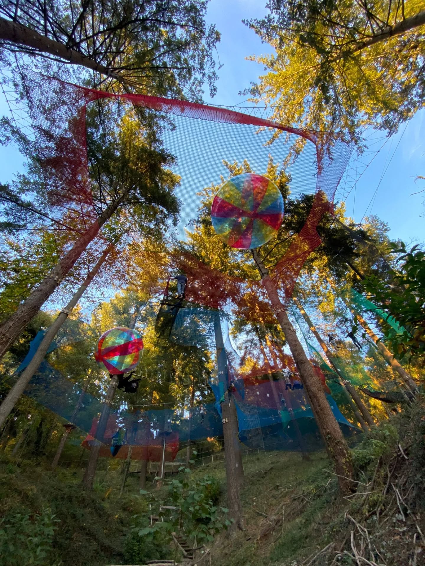 🌲 Vine a gaudir amb nosaltres! 🌲
Obrim cada dia fins al 6 d’abril.
No t’oblidis de fer la teva reserva i gaudir dels moments entre els arbres! 🍃💚
#ParcDAventures #selva #bosc #tirolinas #salta