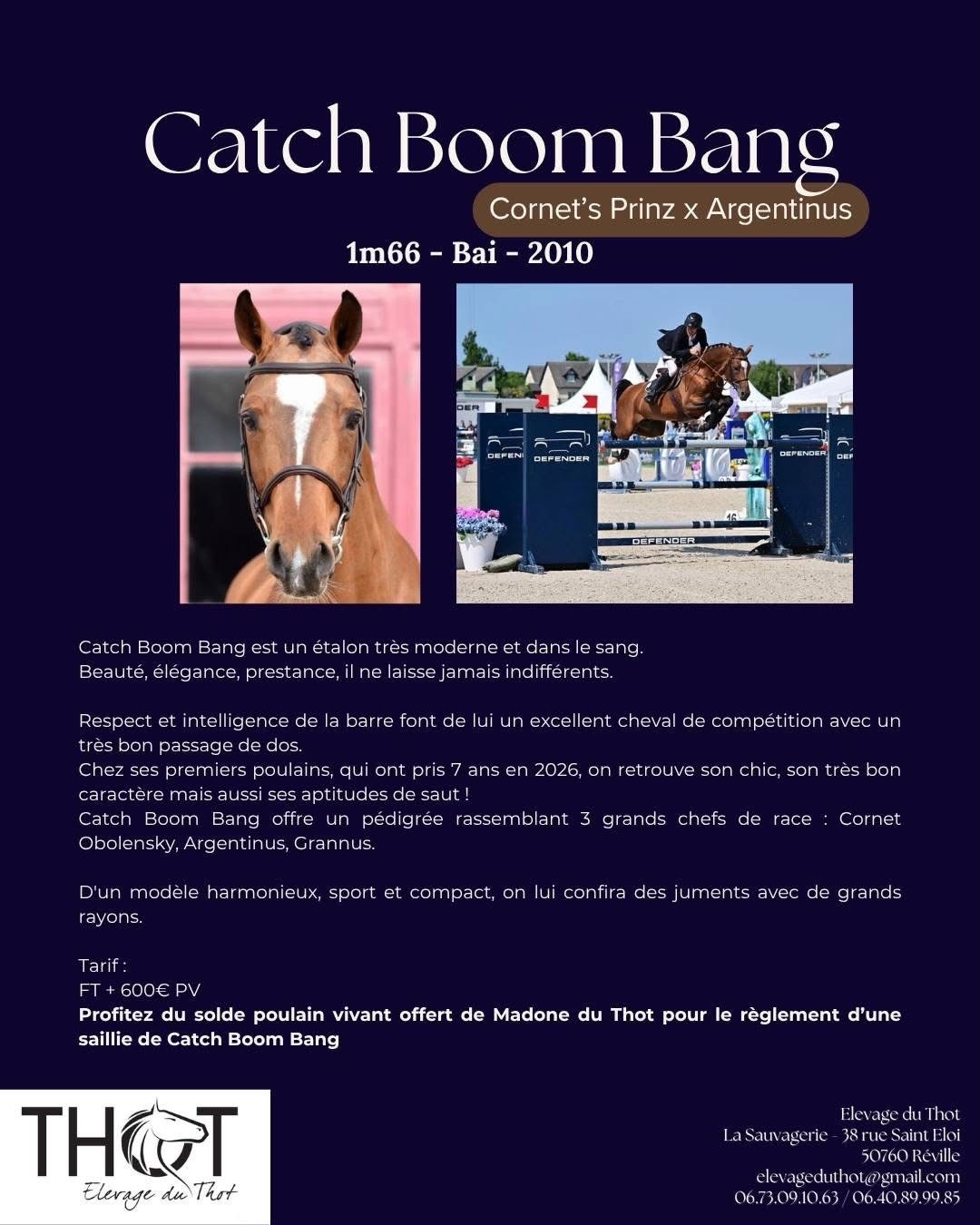 🌼 News de dernière minute 🌼
Catch Boum Bang est de nouveau disponible à l’Elevage du Thot cette saison !
Il rejoint donc les 3 autres étalons :
* Madone du Thot
* Continuum
* Don’s Diamant
Pour cette saison, pour le règlement d’une saillie d’un étalon confirmé, profitez du solde de saillie offert de Madone du Thot (frère utérin de Caracole de la Roque)
+ d’infos : https://www.elevage-du-thot.com/etalons