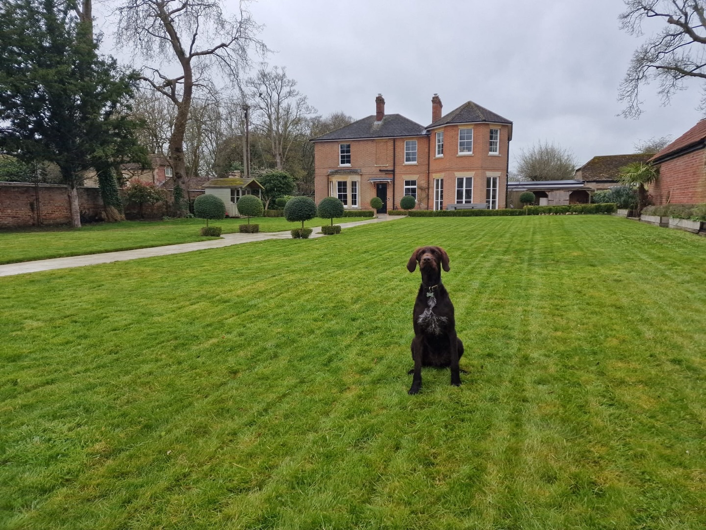 It was a full day of grass cutting! 🌱✂️
Now the weather is finally on our side ☀️🙌, it’s the perfect time to get lawns back under control and looking their best. We’ve been out all day cutting, tidying, and bringing gardens back to life after the long, wet months 🌧️➡️🌿
Regular mowing not only keeps your garden looking sharp, but also helps promote thicker, healthier growth 💪🌱 — ready for those warmer days ahead ☀️🏡
If your lawn is starting to get out of hand or just needs that professional finish, we’ve got you covered 👌
Get in touch today 👇
M.J.B Group Ltd
Tree & Garden
📱 01225 - 941139
📧 info@mjbgroup.co.uk
💻 www.mjbgroup.co.uk
#grasscutting #lawncare #gardeninguk #landscaping #gardenmainten