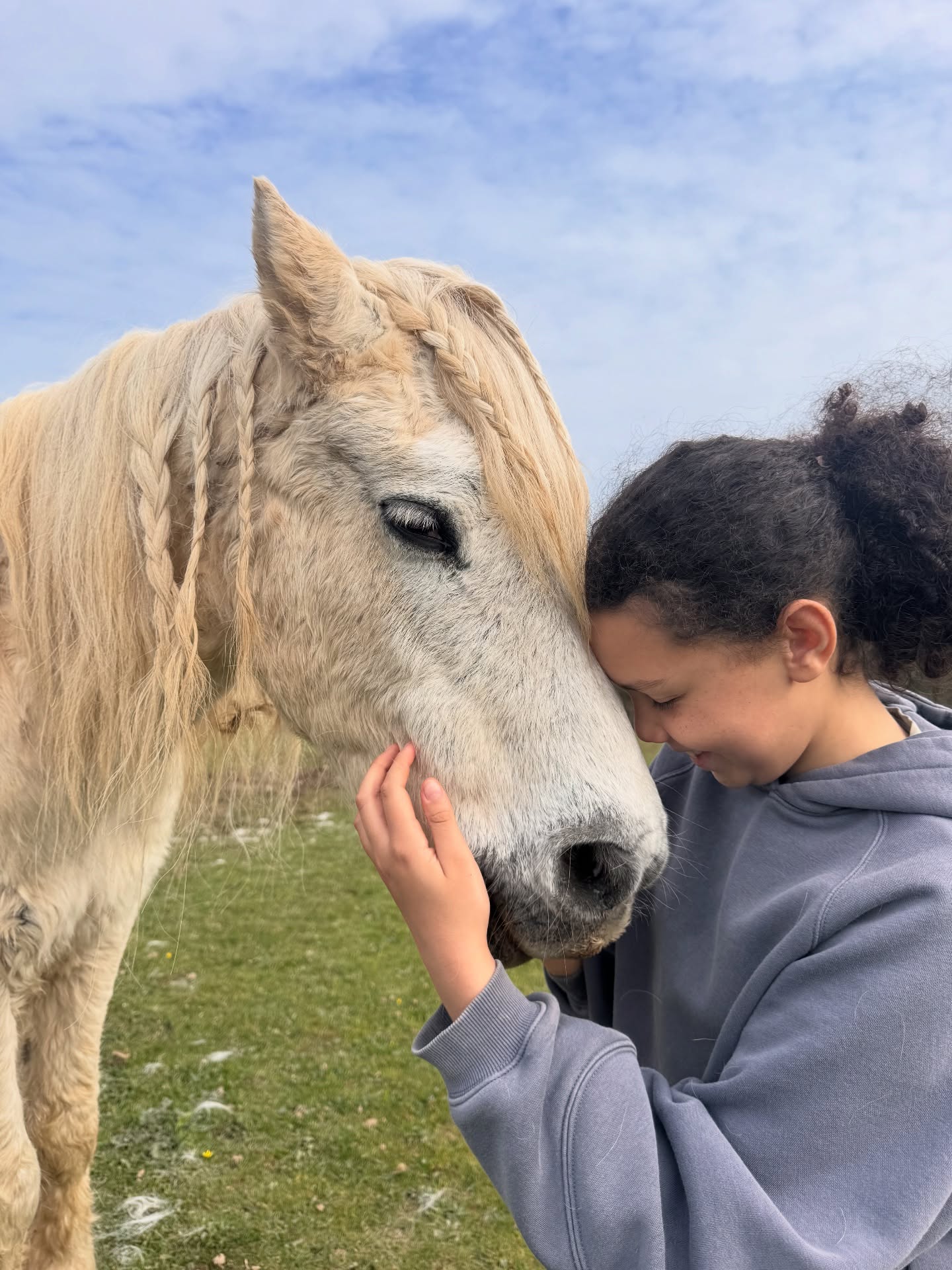 True connection 🔗
The power of nature and our relationship with the world around us
#dartmoorponies #equestrian #equineassistedtherapy #powerofnature #moortolife
