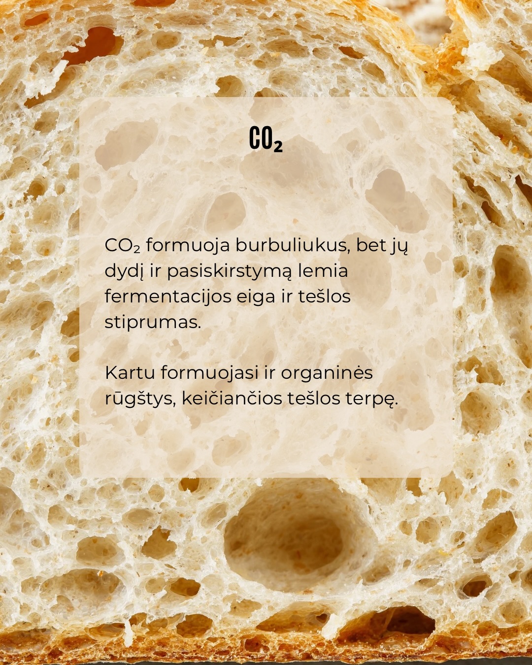 Kepant lengva pasitikėti tuo, ką matome.Tešla pakilo – atrodo, viskas gerai, tačiau galutinis rezultatas ne visada būna toks, kokio tikėjomės.Tokiais atvejais problema dažniausiai slypi ne recepte,
o procese, kurio nematome.Būtent jis ir lemia, kokia bus kepinio struktūra.Ar esate pastebėję, kad kartais tešla pakyla, bet galutinis rezultatas vis tiek ne toks purus, kokio norėtųsi?