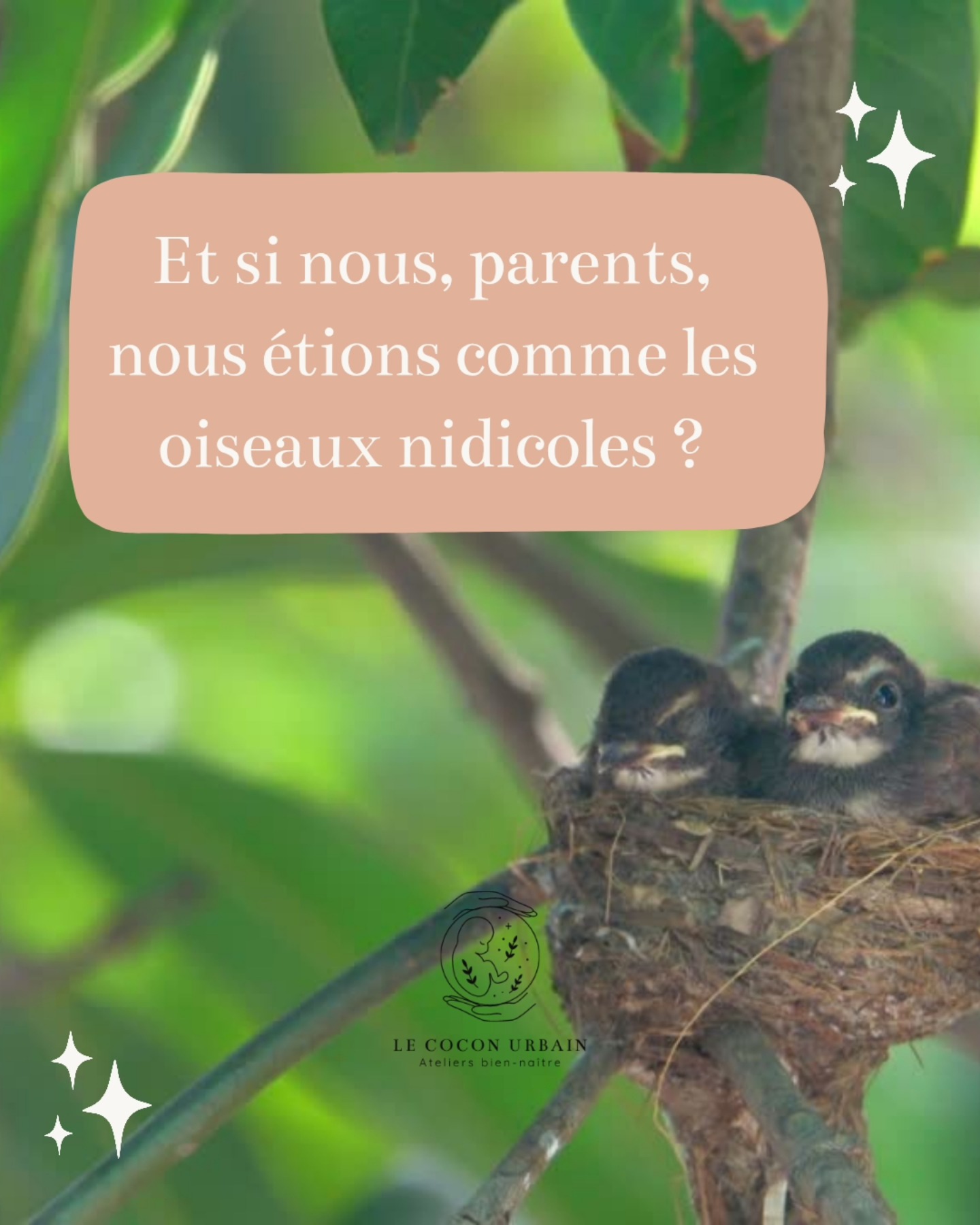 Être parent, c'est quelque part redevenir sauvage. Instinctif. Relié. Un épisode des pieds sur terre m'a profondément émue et j'ai voulu vous retranscrire ce que j'ai ressenti 🩷
#parents #parentalite #instinctmaternel #mere #maman #papa
#postpartum #monpostpartum #maternité #grossesse #enceinte #maman2025 #mumtobe #bienetre #lacherprise #famille #périnatalité #postnatal #accouchement #sophrologie #developpementpersonnel #babyblues #liendattachement #bienveillance #matrescence #sororité