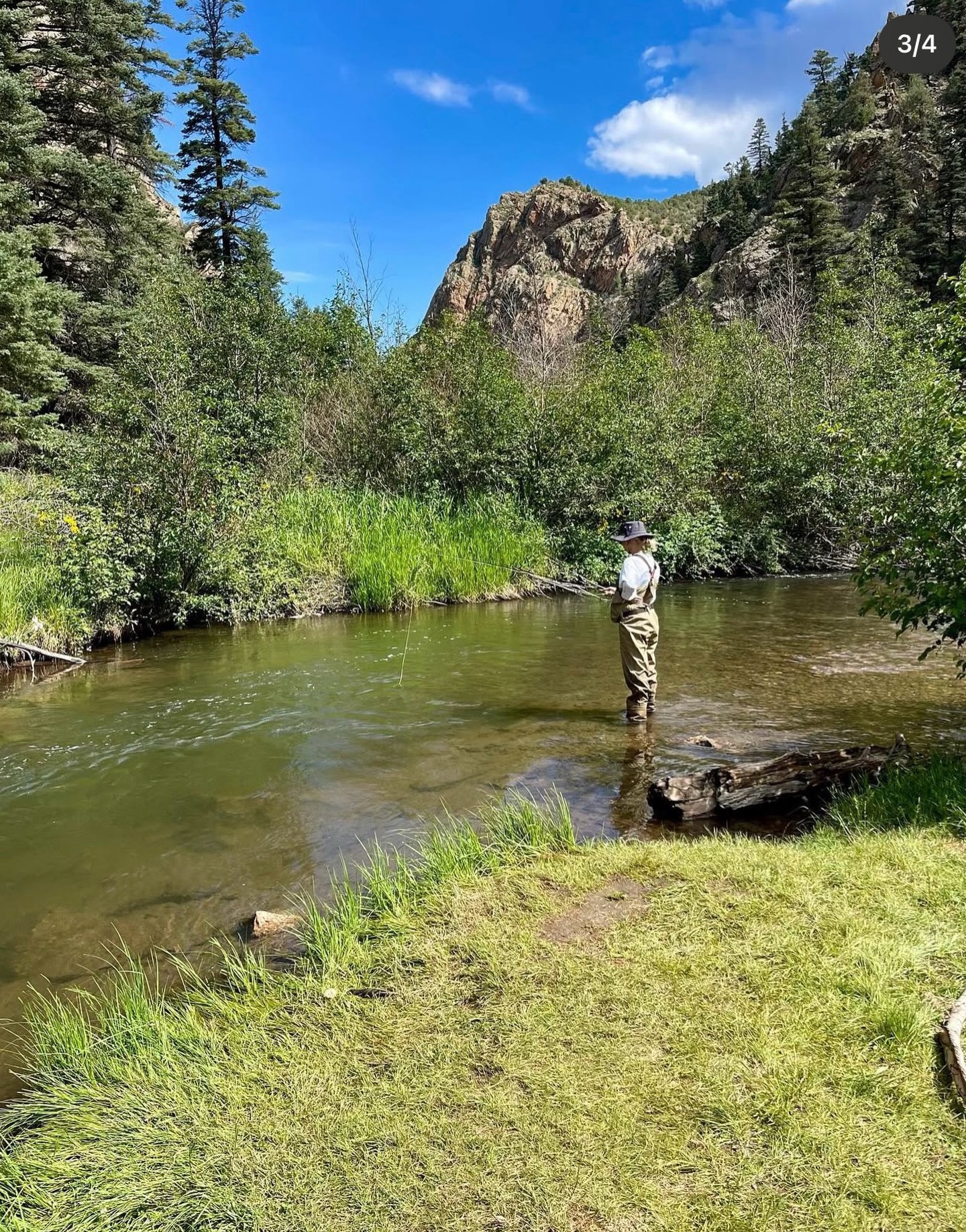 Warmer weather means fly fishing! There are so many amazing spots in Colfax County if you are looking to throw a line. Visit TheWildDivide.com/Outdoor-Recreation to learn more!🎣
📸: Lexie Meeks
#TheWildDivide #ColfaxCounty #VisitColfaxCounty #NewMexico #NewMexicoTrue