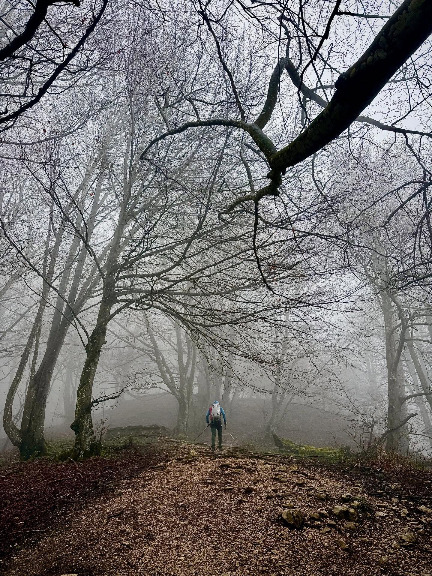 🗻Ayer subimos a Beriain.
Y no fue el típico día de foto perfecta.
Niebla cerrada.
Frío.
Viento que no te deja olvidar dónde estás.
Pero fue un día increíble ✨
Porque aquí, los días buenos no siempre son cómodos.
Los de aquí lo saben: hay jornadas que no regalan nada…
y aun así, son las que más se quedan.
Ayer no hubo grandes vistas.
Pero hubo algo mejor: sentir la montaña de verdad.
Caminar sin ver, confiar en cada paso, aceptar el ambiente…
y seguir.
Nos pusimos en su piel.
En la de quienes entienden que esto también forma parte del camino.
Y sí, fue un día excepcional.
Porque la montaña no siempre es fácil.
Pero siempre merece la pena. ⛰️
#televiajar #beriain