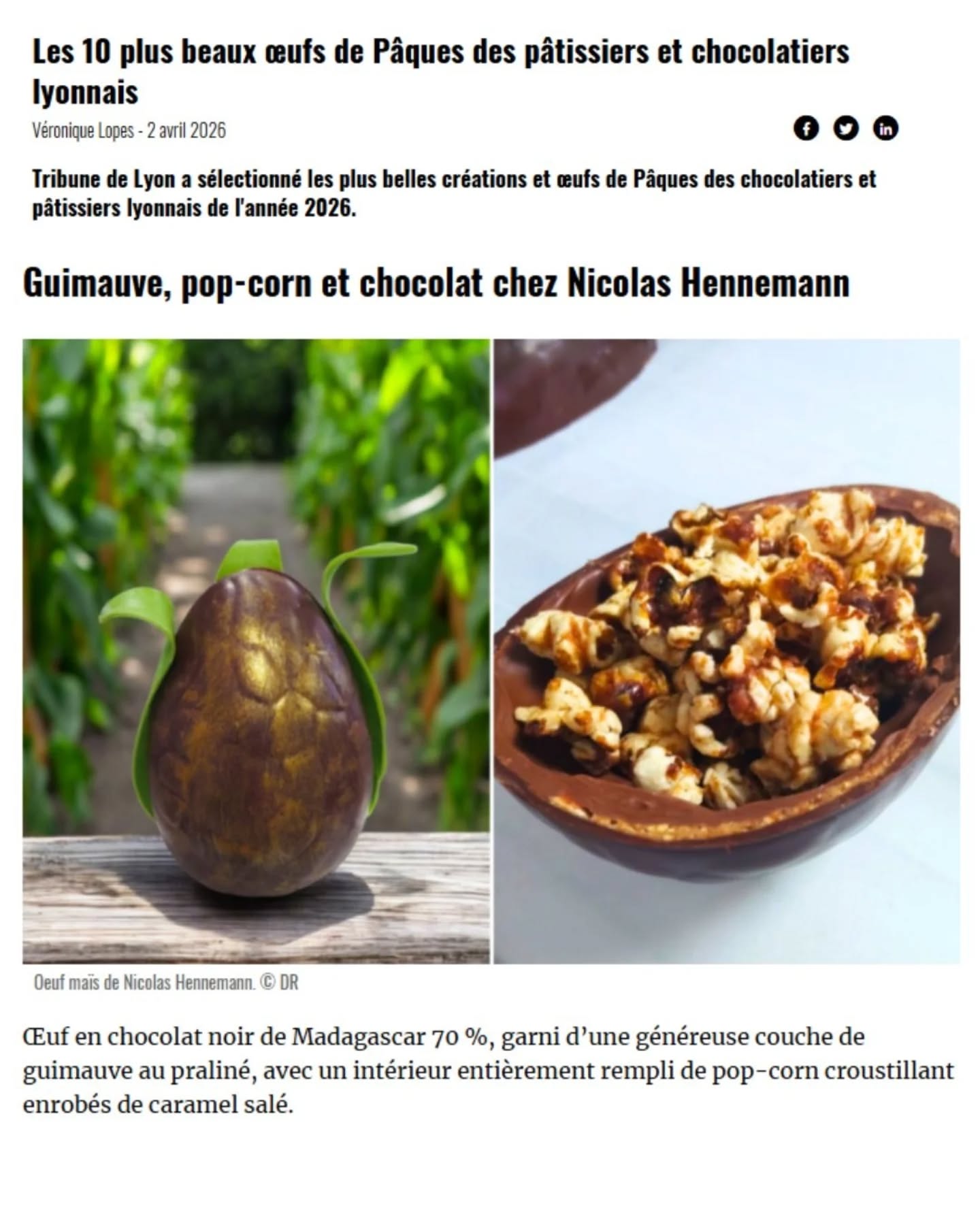 🐣 Un grand merci à la @tribune_de_lyon pour nous avoir inclus dans leur top 10 à travers deux articles récents... 🐻
1. 🥚 Top 10 des plus beaux œufs en chocolat des pâtisseries et chocolateries lyonnaises avec notre oeuf Signature 2026 - L'œuf Maïs 🍫🌽
2. 🐻 Les meilleurs oursons en guimauve de Lyon.
🐇💝 Une très belle récompense pour tout le travail accompli par toute l’équipe, que ce soit en production ou en boutique pendant cette période intense de Pâques!
Encore merci et à bientôt en boutique ! 🥰
#lyonfoodies #chocolat #Pâques #artisan #patisserie