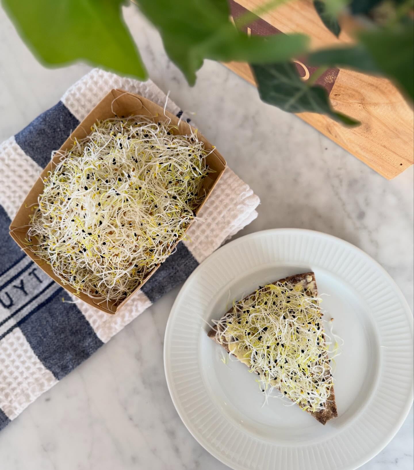 Enkelt, frĂ€scht och gott đ
KnÀckebröd med valfritt pÄlÀgg toppat med alfalfa- och purjolöksgroddar. En liten uppgradering som gör stor skillnad.
Alfalfagroddar Àr milda, friska och krispiga, medan purjolöksgroddar ger en hÀrlig liten löksmak som lyfter smörgÄsen direkt. Perfekt till frukost, lunch eller mellanmÄl nÀr du vill ha nÄgot bÄde enkelt och smakrikt.
Ett lĂ€tt sĂ€tt att fĂ„ in mer grönt i vardagen! đ
#alfalfagroddar #purjolöksgroddar #groddar #smörgÄstips #munkagrodden