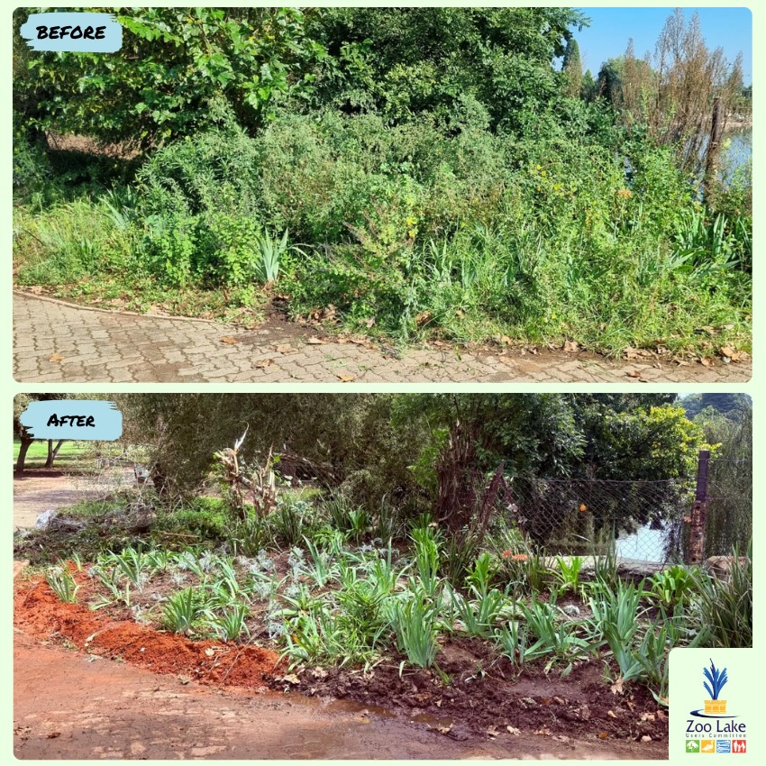 Incredible what the Gardening Guys and Gogos accomplish in a single morning! 🔥👏
The group is made up of volunteers and contracted gardeners. You can sponsor a gardening day with a once-off donation of just R1,000. 💪
Donate here: https://payment.payfast.io/eng/process/payment/5ebaf58e-b7e4-43fe-9806-eced4e10f707