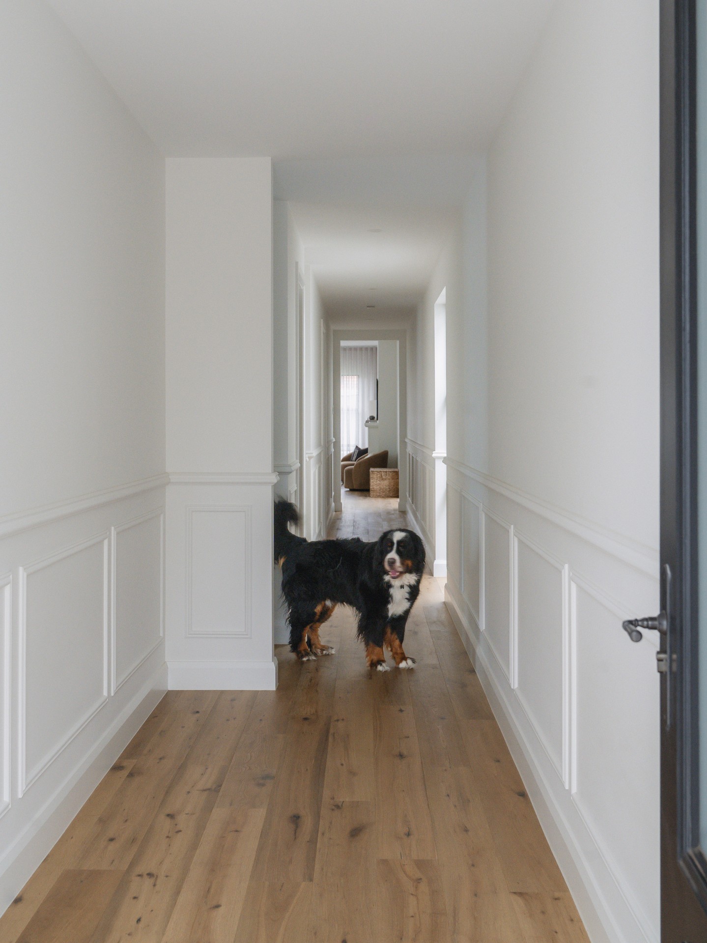 It's the small details that make all the difference. The feature wainscoting provides a touch of character from the moment you open the door. One of our favourite elements of this project.
Photographer: @mediiahouse
#adelaidehomes #adelaidebuilder #adelaideinteriordesign #interiordesign #custombuiltnewhomes