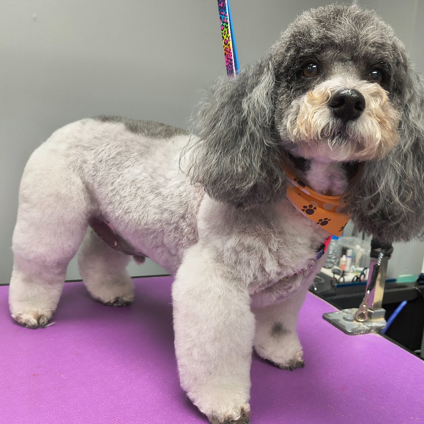 Katie's Groom - Remember you will be voting!!!