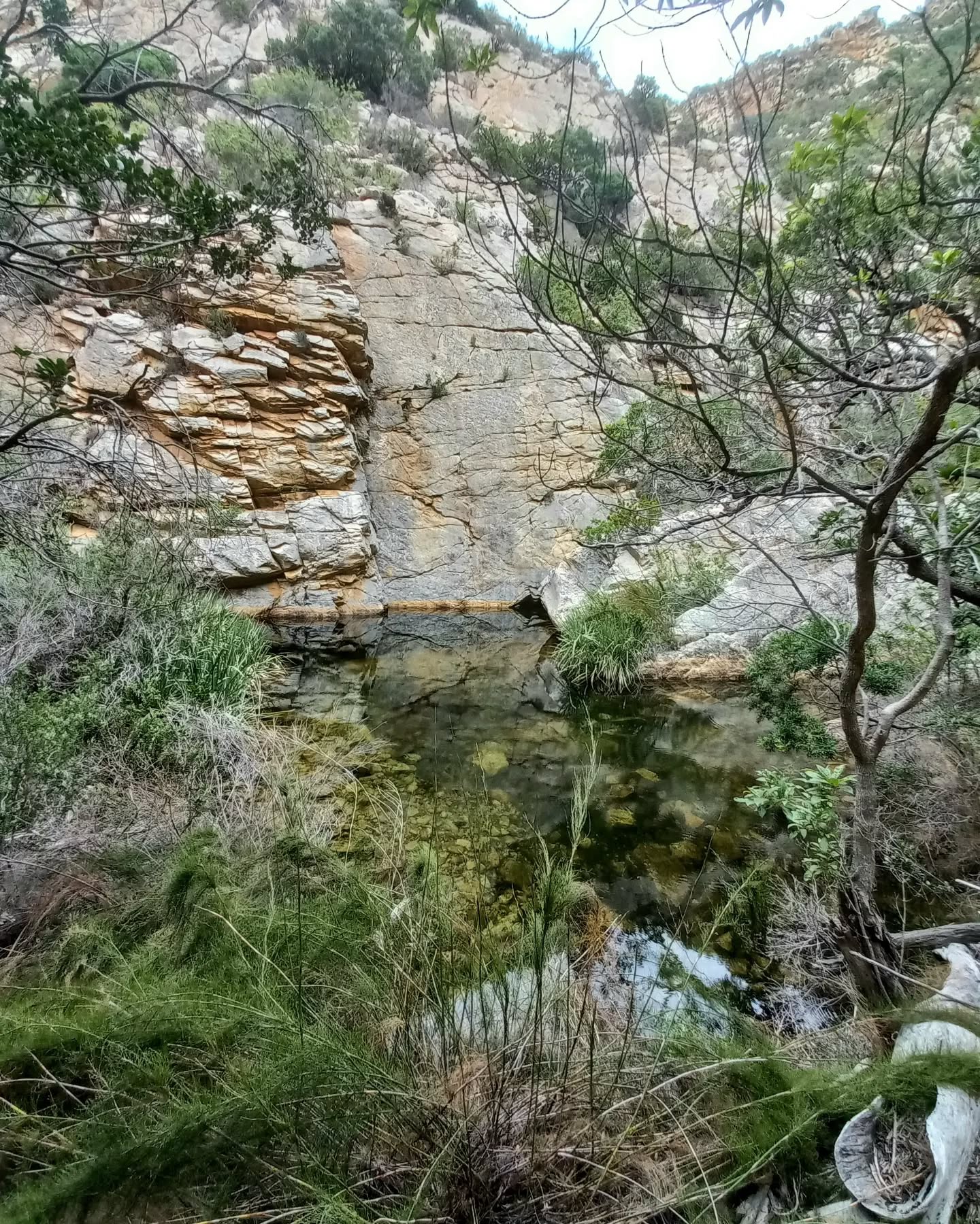 THE TRUE BEAUTY OF NATURE
#nature #explore #adventure #beautifulsights #naturelovers #river #wildlife #naturalrockpools