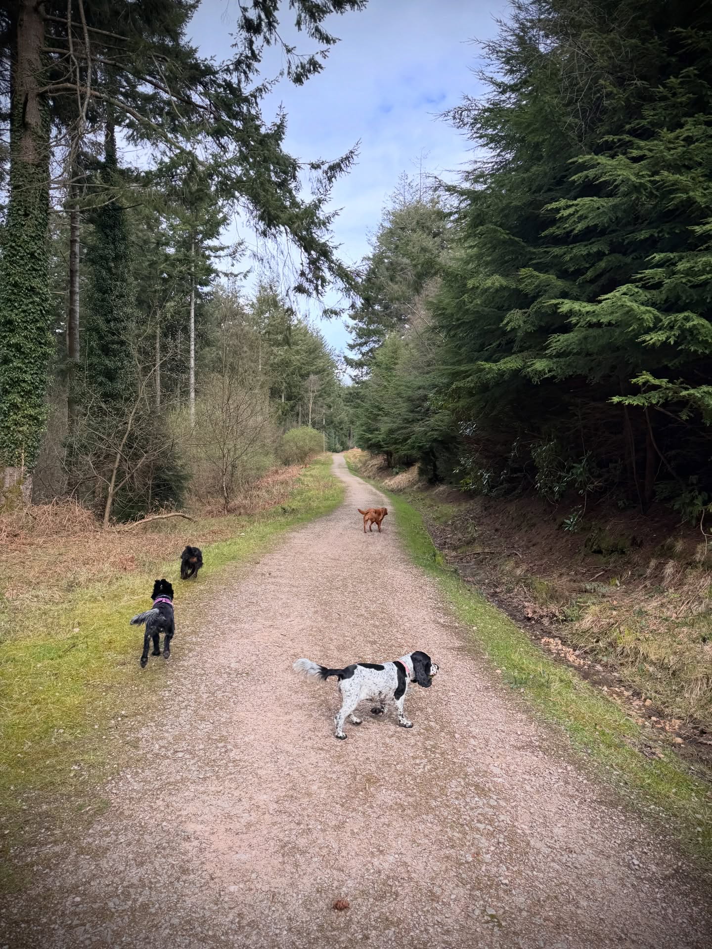 Thursday squad. Oliver found a ball and the boys played chase. Fun!