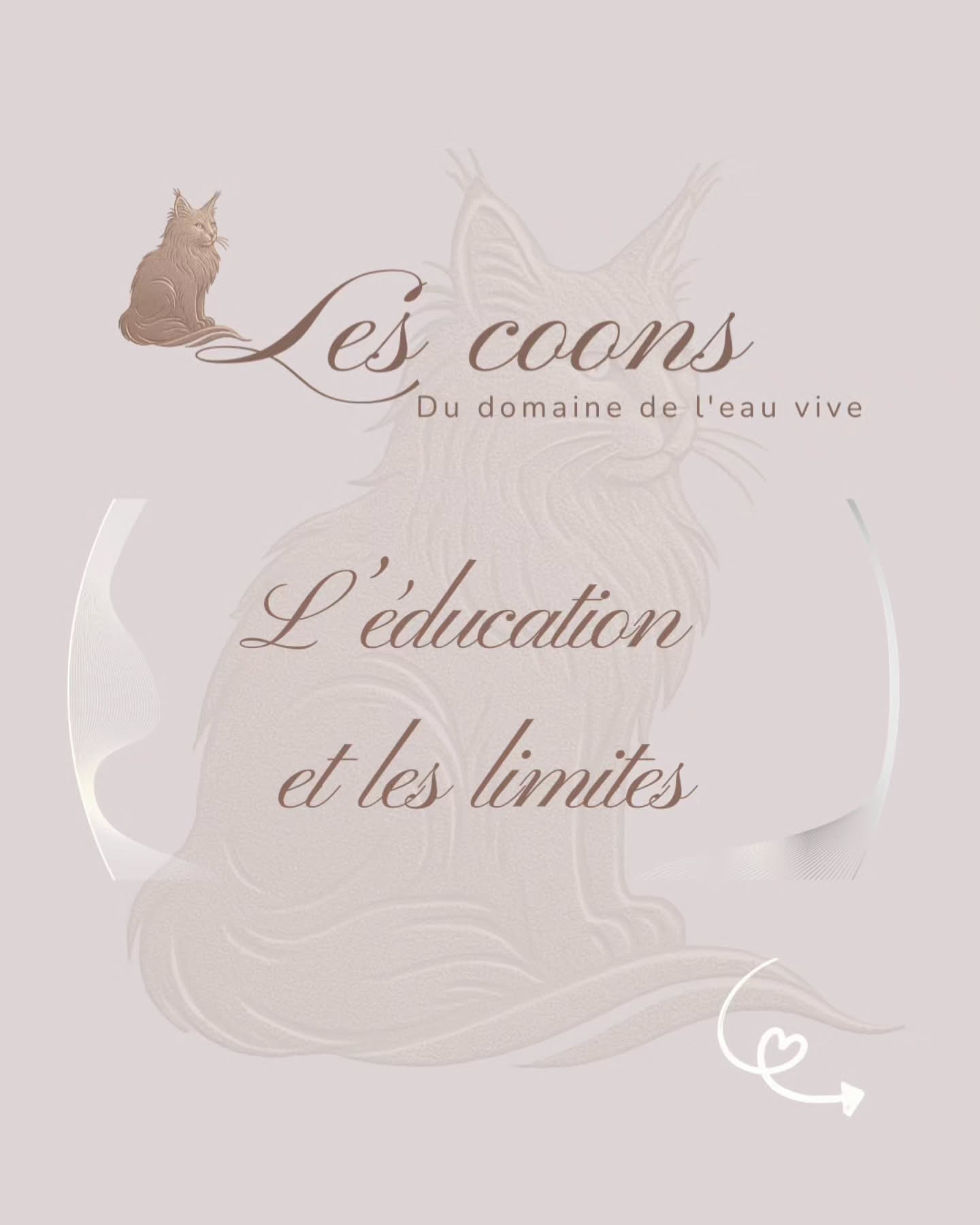 Le Maine Coon est intelligent et comprend vite les règles.
Une éducation douce et cohérente fonctionne toujours mieux
que la contrainte 😻
Avec passion 🤍
Carine Zimmermann
Éleveuse de Maine Coons
Affiliée au Cat Club Romand
Domaine de l’eau vive
1724 Bonnefontaine
+41 79 281 93 88
www.lescoons.ch
#educationchat #mainecoon #chatintelligent #respectanimal #chatheureux