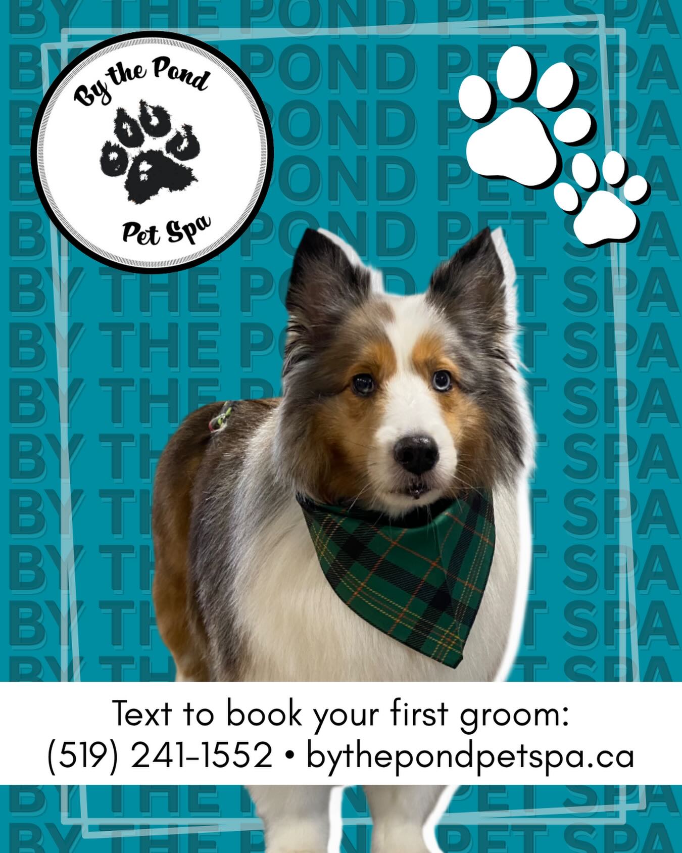 Get ready for April Showers with a fresh groom for your furry bestie 🌧️ Text or call us to book in with one of our spectacular groomers / (519) 241-1552
#doggroom #doggroominglife #doggroomer #cambridgeontario #doggroomingofinstagram