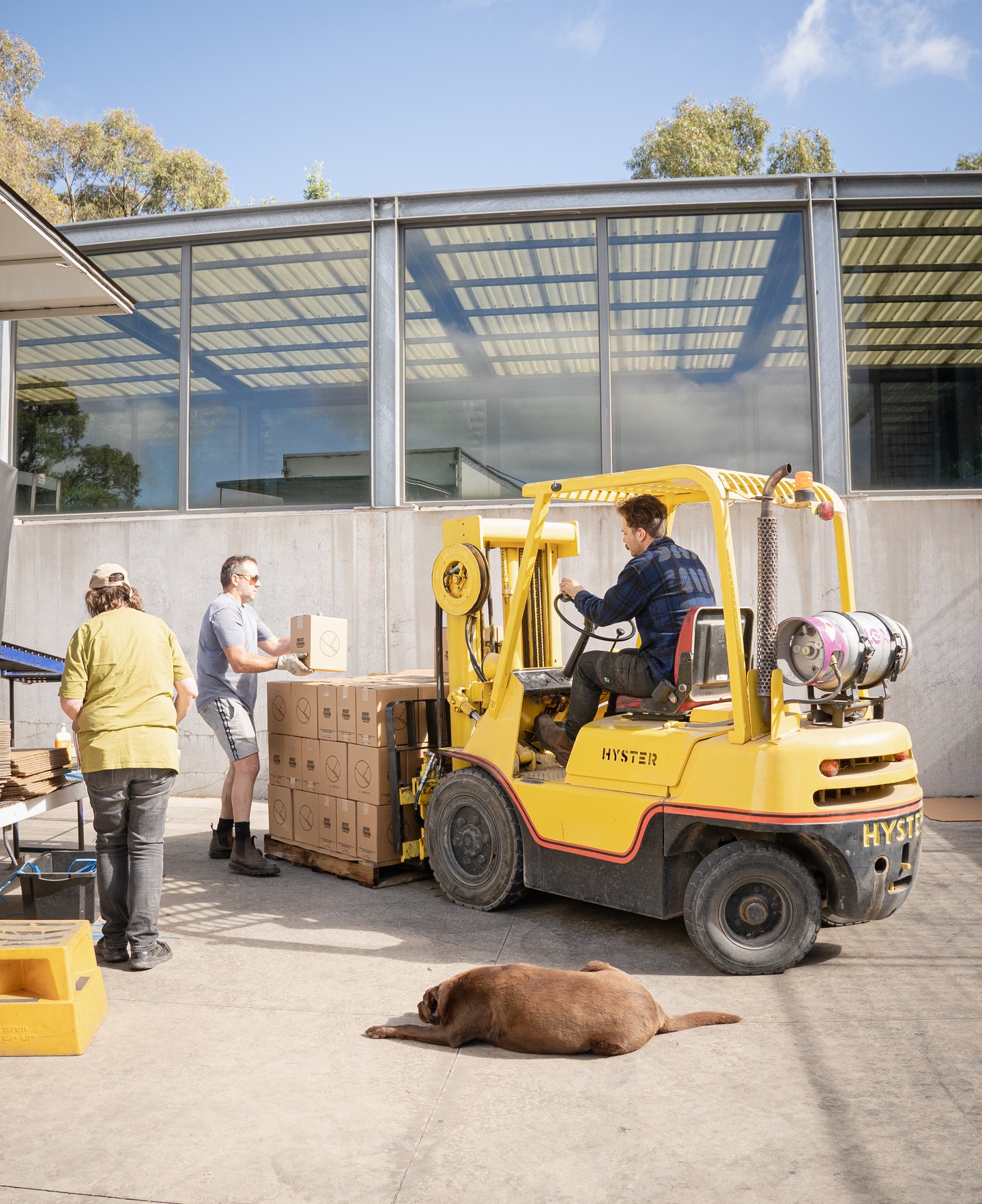 A typical bottling run at Mount Towrong Vineyard. It’s a hands-on process from start to finish. Around here, it’s a family effort. Everyone finds a role and lends a hand (or a paw).
#mounttowrongvineyard #macedonrangeswine #victorianwine
#familywinery