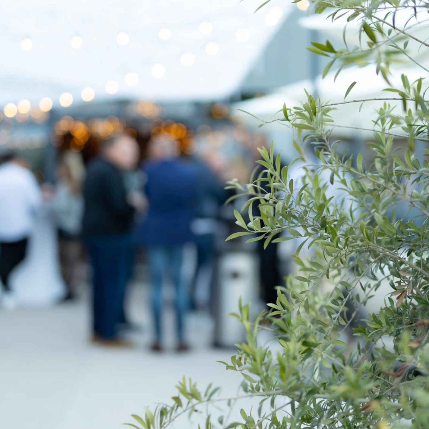 @sevenbar.siegen #siegenwittgenstein #siegencity #siegenstadt #siegen #sevenbarsiegen #sevenbar #netphen #niederschelden #olpe #relax