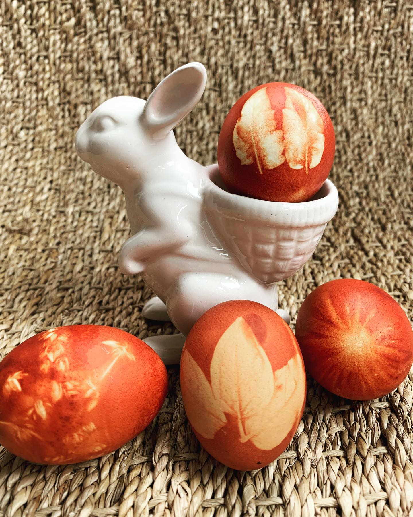Easter 🐣 is a big deal around my family and we have lots of cool traditions and customs that we follow.
Since I am 1/2 Polish🇵🇱, one of the traditions we do is painting and decorating our eggs 🥚 with onion 🧅 peels. It is a really cool way of dying your eggs naturally.
Here’s how we do it!
What you need:
1 dozen eggs 🥚 @eggfarmersont
Skins from 10 🧅
2 Tbsp. red wine vinegar
Clean nylon stockings cut into 4” pieces
Herbs🌿 , flowers 🌸 and/or leaves 🍃 to decorate
How to do it:
🥚 Place onion skins in large stockpot.
🥚Wet eggs slightly and apply leaves/flours to decorate. Place inside of piece of stocking and tie both ends. Make sure the egg is wrapped tightly so that the decoration stays in place.
🥚Place prepared eggs into the pot with the onion skins.
🥚Cover with water so that it is 1” above eggs. Add the vinegar and place the pot over medium-high heat.
🥚Bring to a boil, lower heat and simmer for 20 minutes.
🥚The longer you keep them in the darker they will be!
🥚When ready, carefully remove eggs. Allow to cool slightly then remove the stockings and design pieces. Dry off and oil if desired for shine.
I really hope that you try this recipe. It is so cool and a great natural way to get creative.
Let me know how yours turn out!
👨🍳Matteo. #cucinakids #cucinakidscook #eastereggideas #eastereggs #easteractivitiesforkids #canadiankids #canadianmom #kidswhocook #eastereggsdying #naturaleggdye #canadianfamilies #polisheastertradition #polisheastereggs #eggbasket